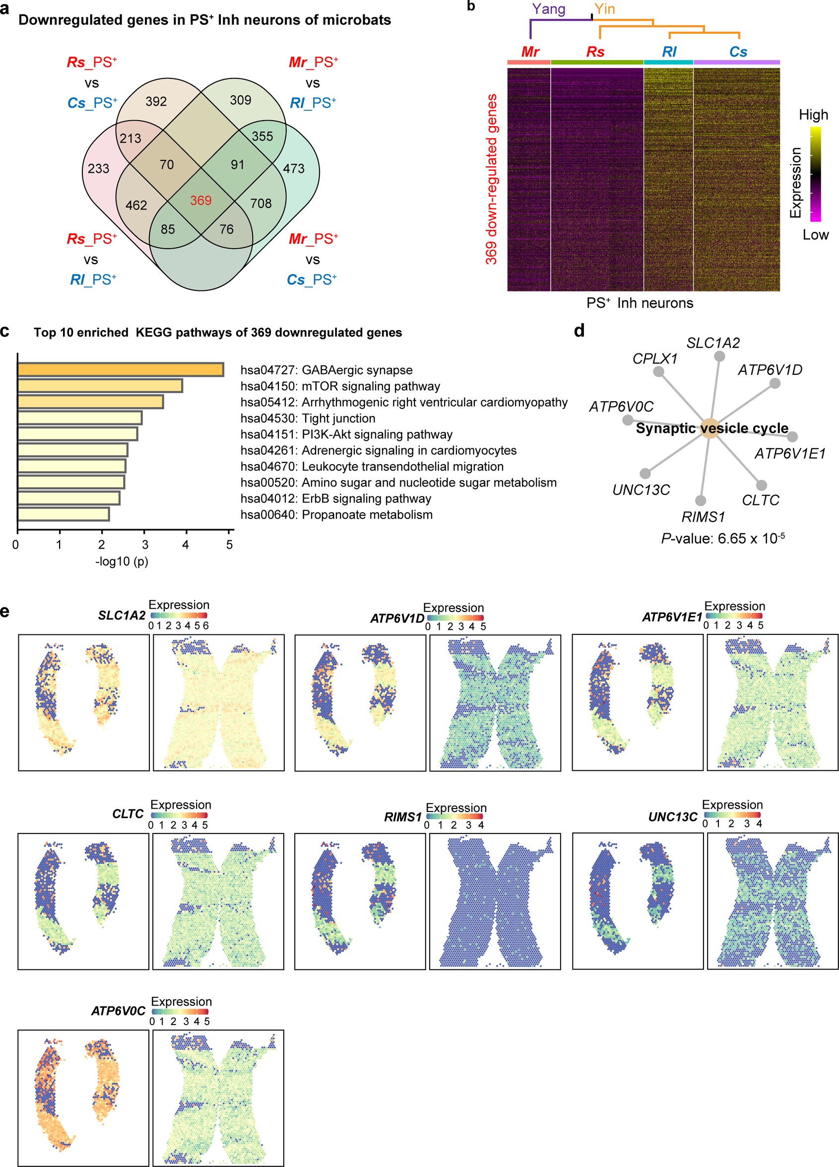 Extended Data Fig. 5