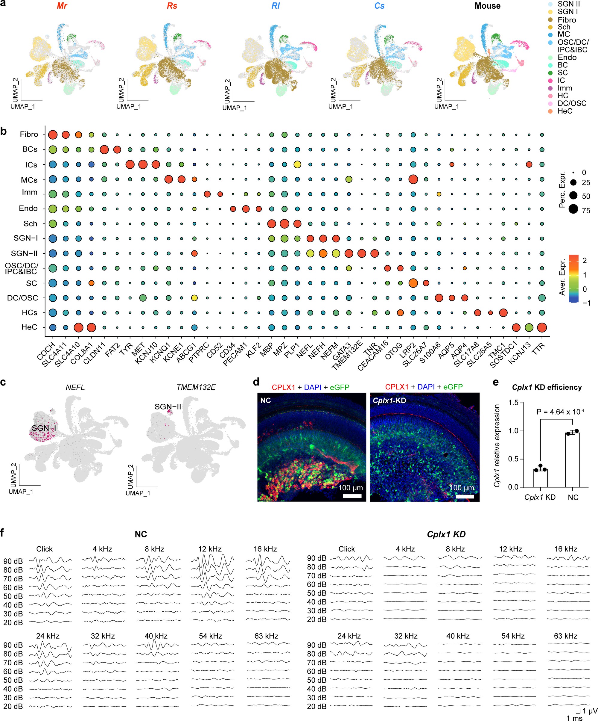 Extended Data Fig. 8