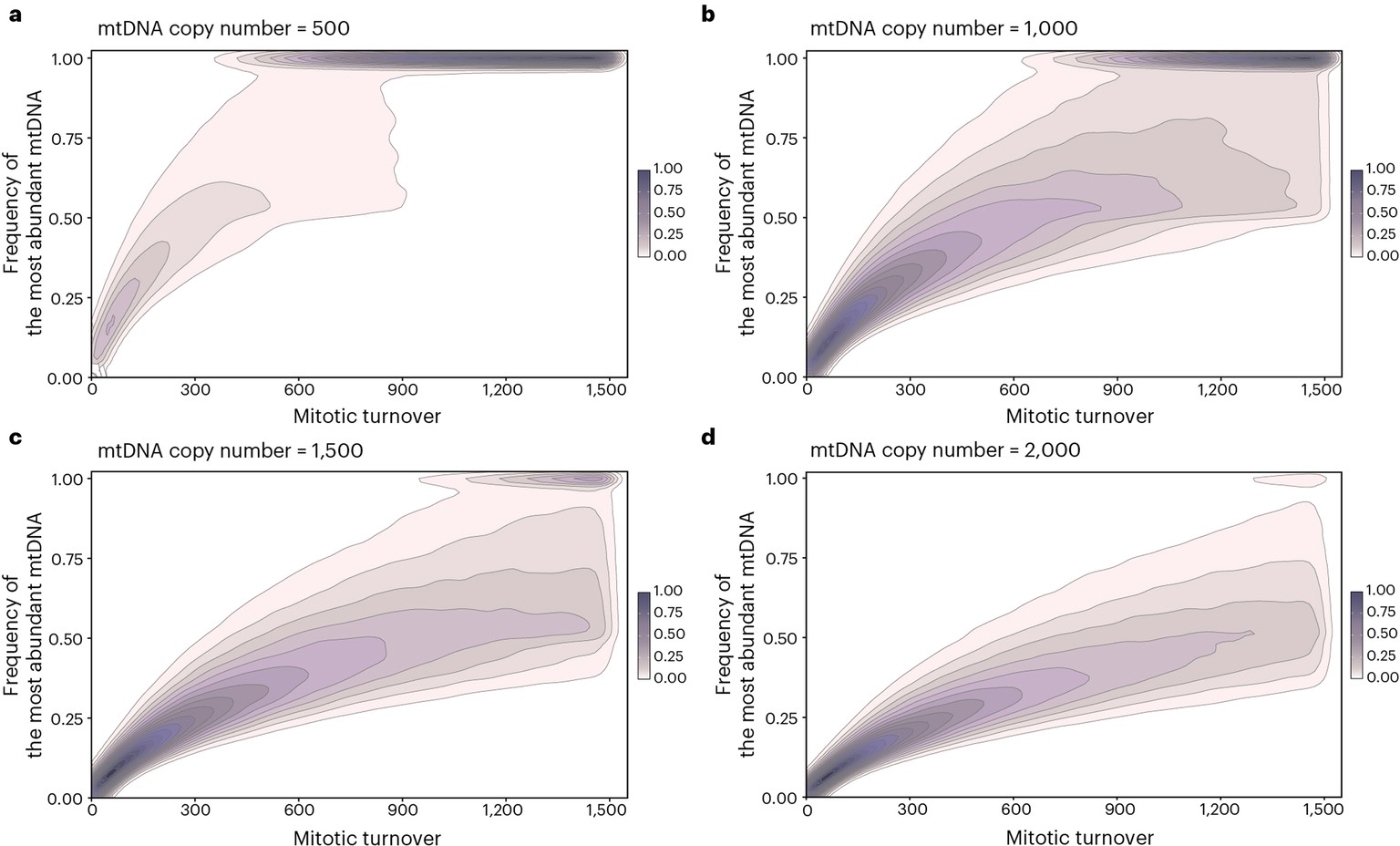 Extended Data Fig. 8: Model for mtDNA population change.