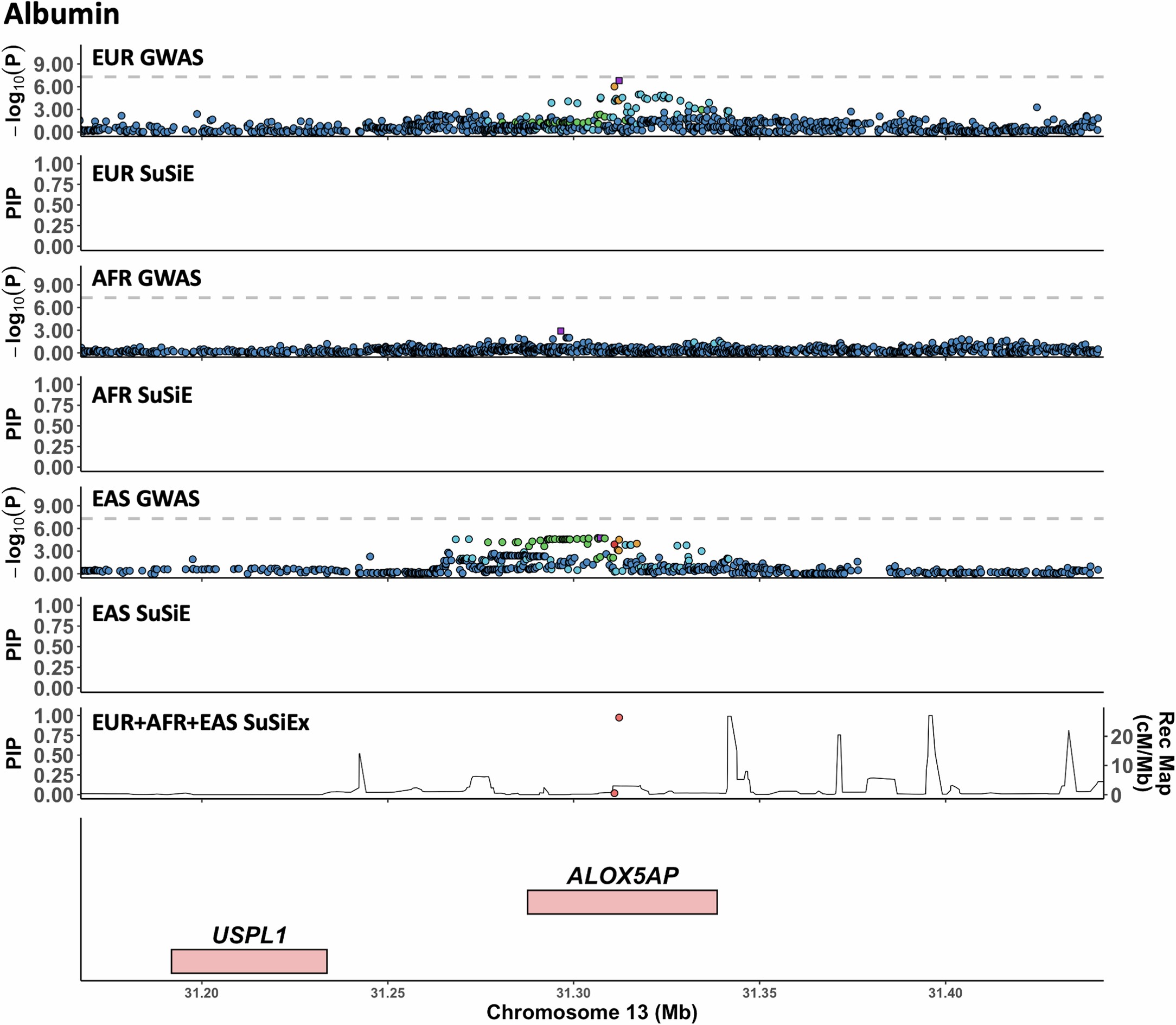 Extended Data Fig. 5: Association with albumin on chr13: 31,150,000-31,450,000.