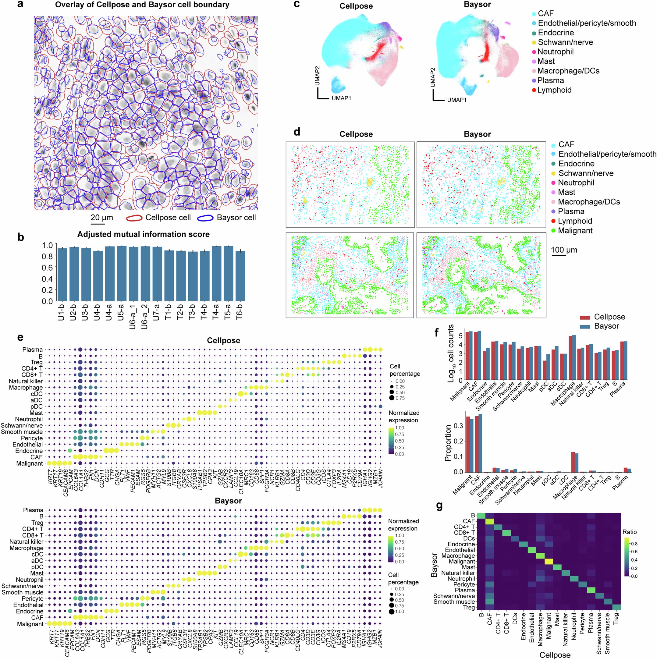 Extended Data Fig. 2: Comparison of cell segmentation and cell type annotation results from different segmentation methods.