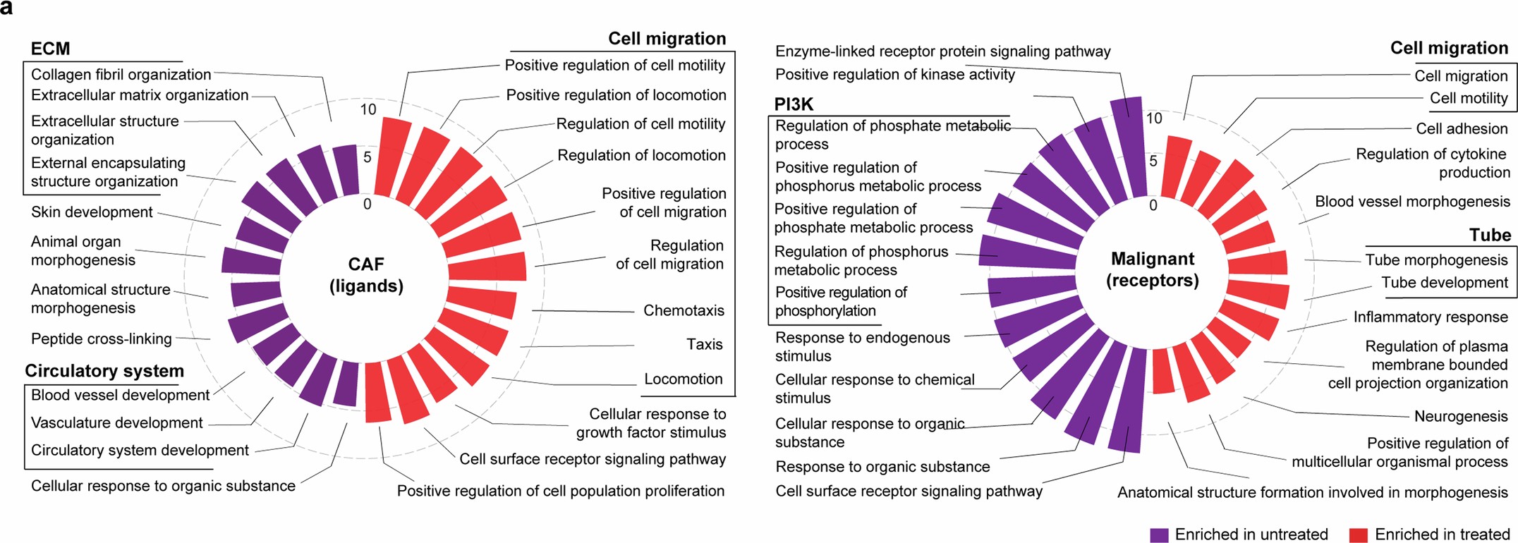 Extended Data Fig. 8: Pathway enrichment analysis for the co-culture tumoroid data.