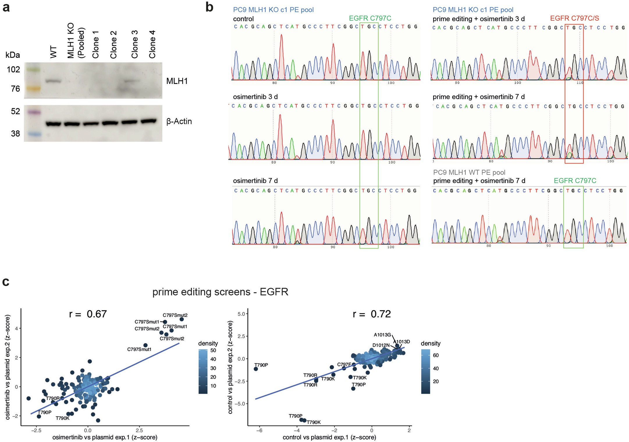 Extended Data Fig. 5: Prime editing screening of EGFR variants.