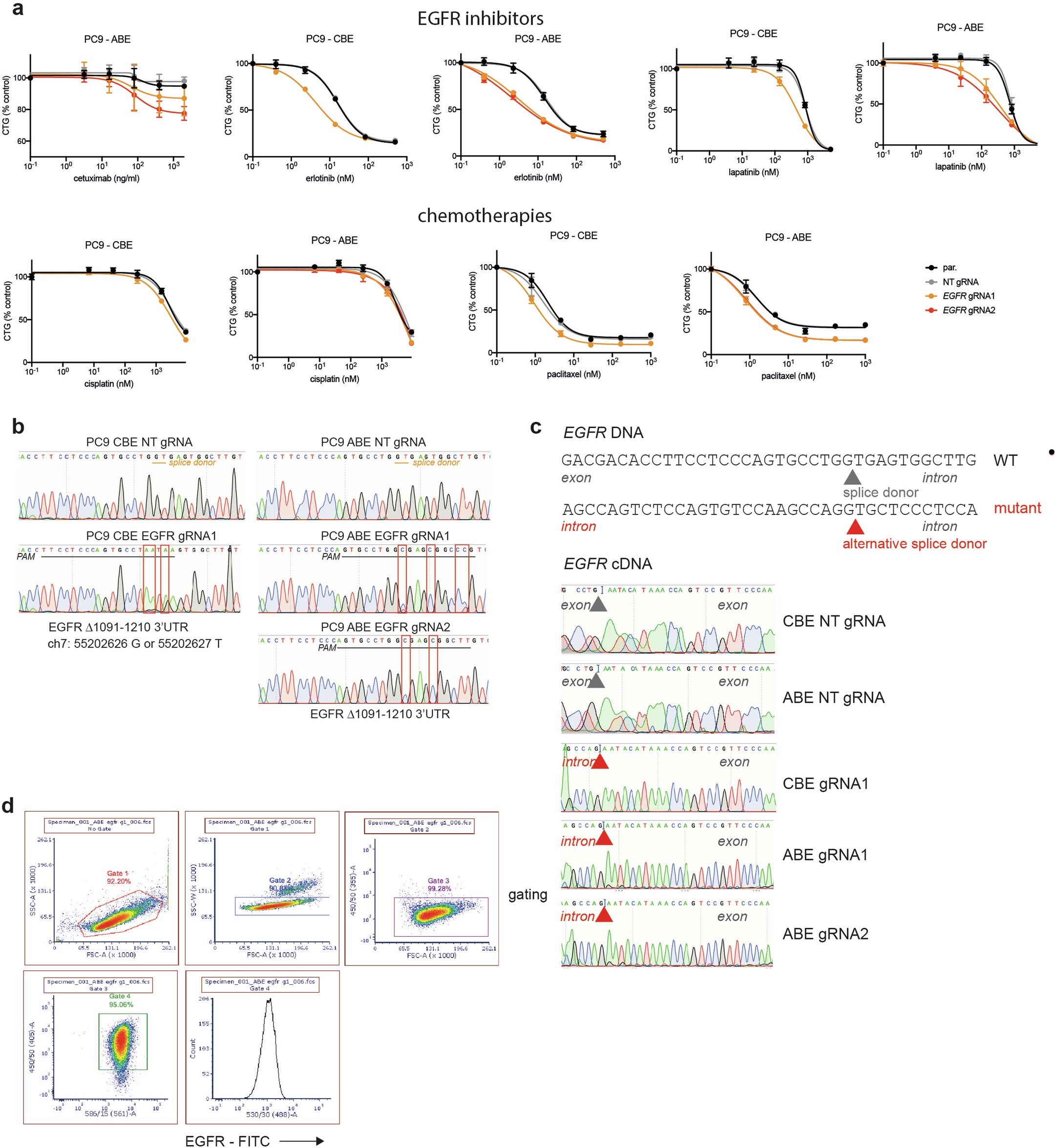 Extended Data Fig. 6: EGFR C-terminal truncating variants sensitise to EGFR inhibitors.