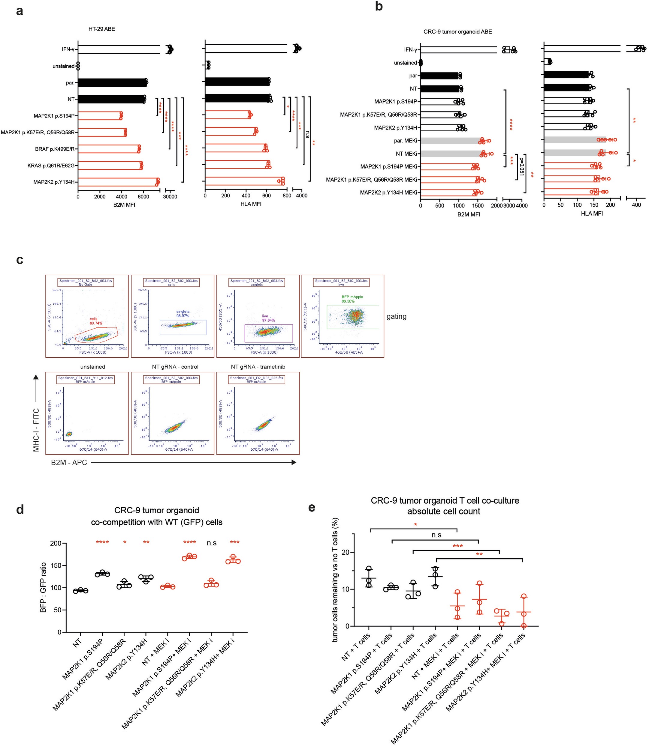Extended Data Fig. 9: Effect of MAPK signalling and drug addiction variants on antigen presentation and sensitivity to T cell killing.