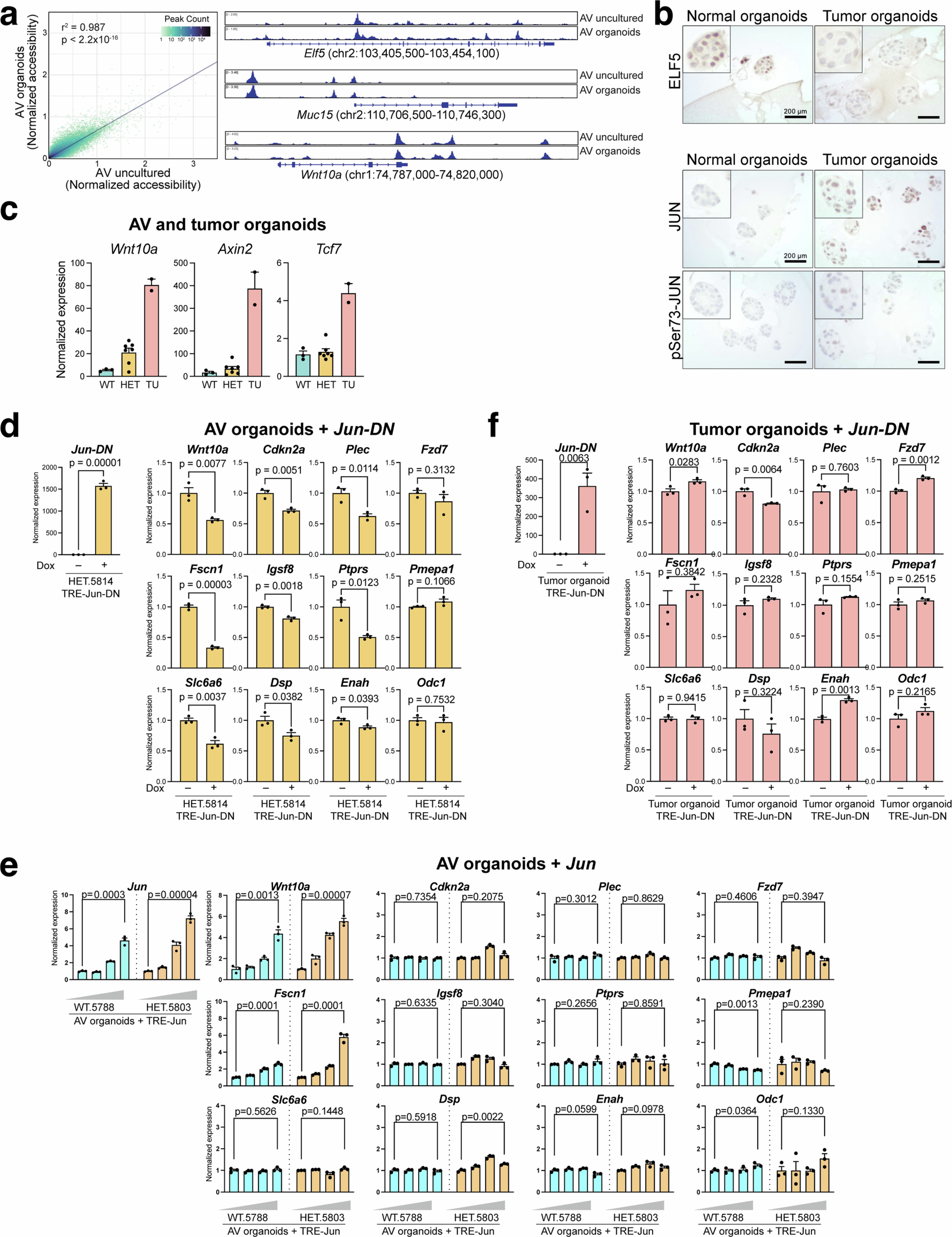 Extended Data Fig. 7