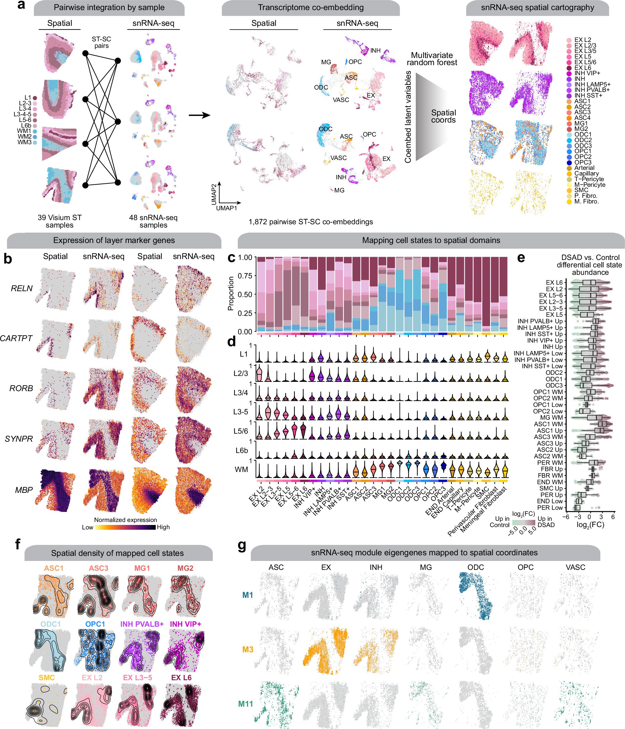Extended Data Fig. 6: Systematic integration of spatial and single-nucleus expression profiles.