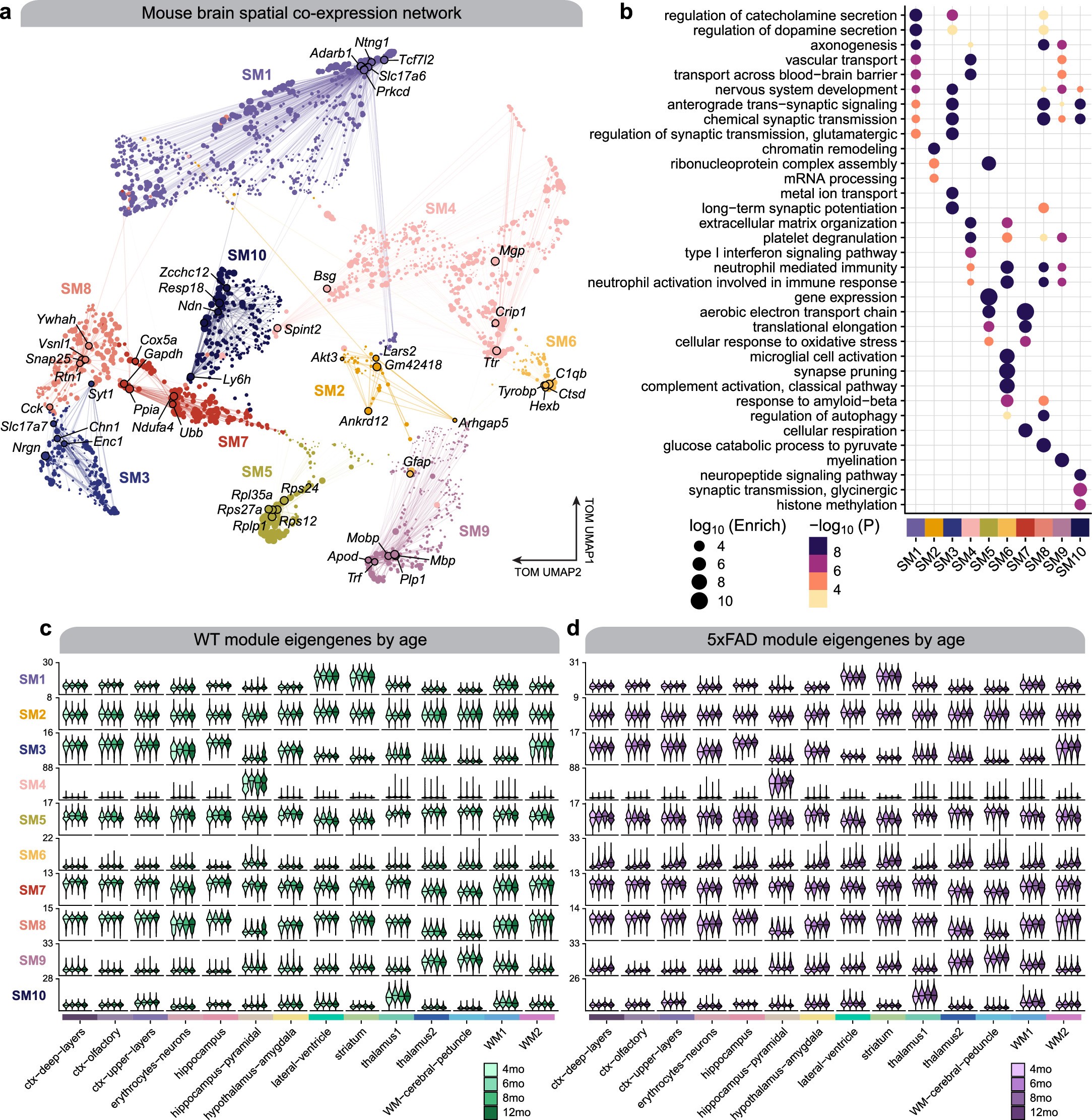 Extended Data Fig. 9: Co-expression network analysis in the mouse ST dataset.