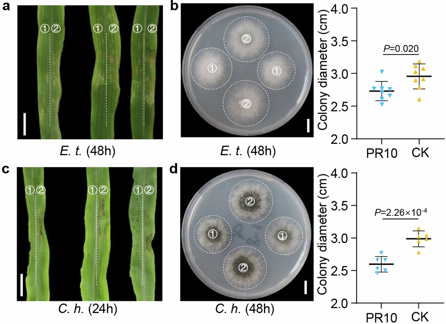 Extended Data Fig. 8