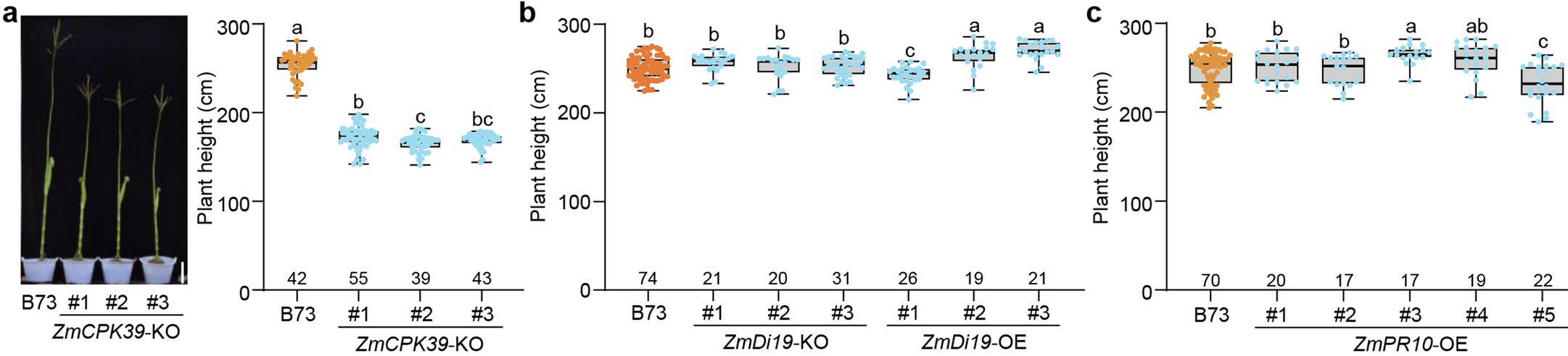 Extended Data Fig. 9