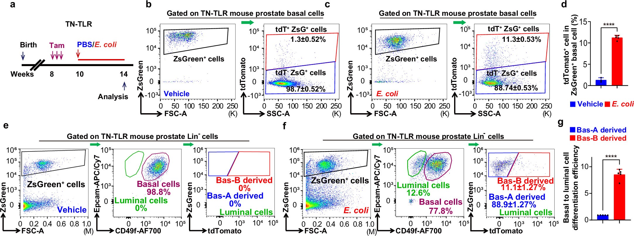 Extended Data Fig. 8