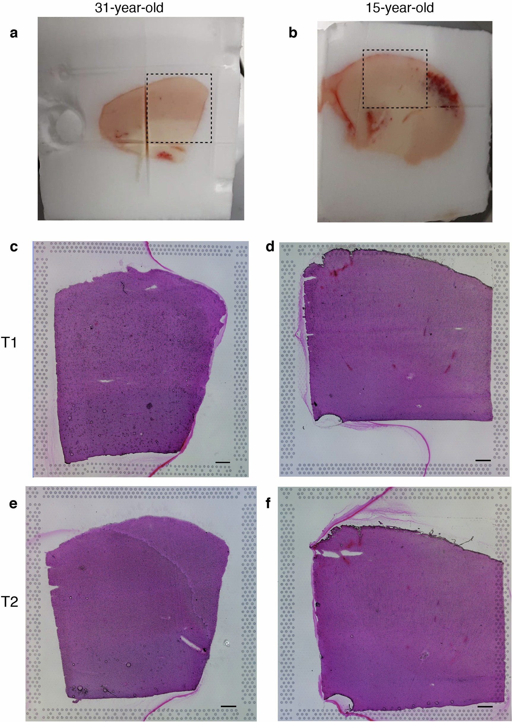 Extended Data Fig. 4