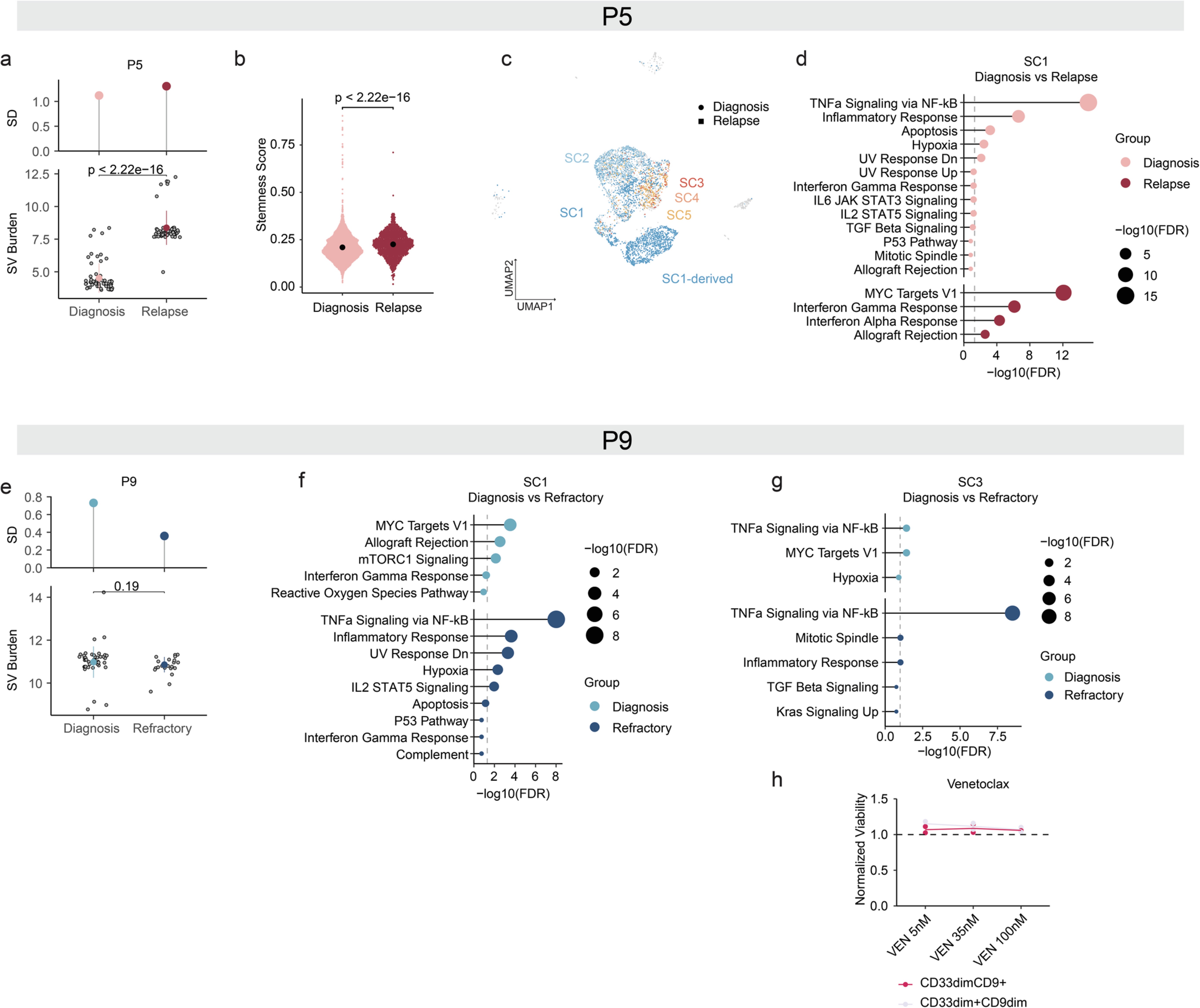 Extended Data Fig. 10: Longitudinal evolution of CK-AML under therapy stress.