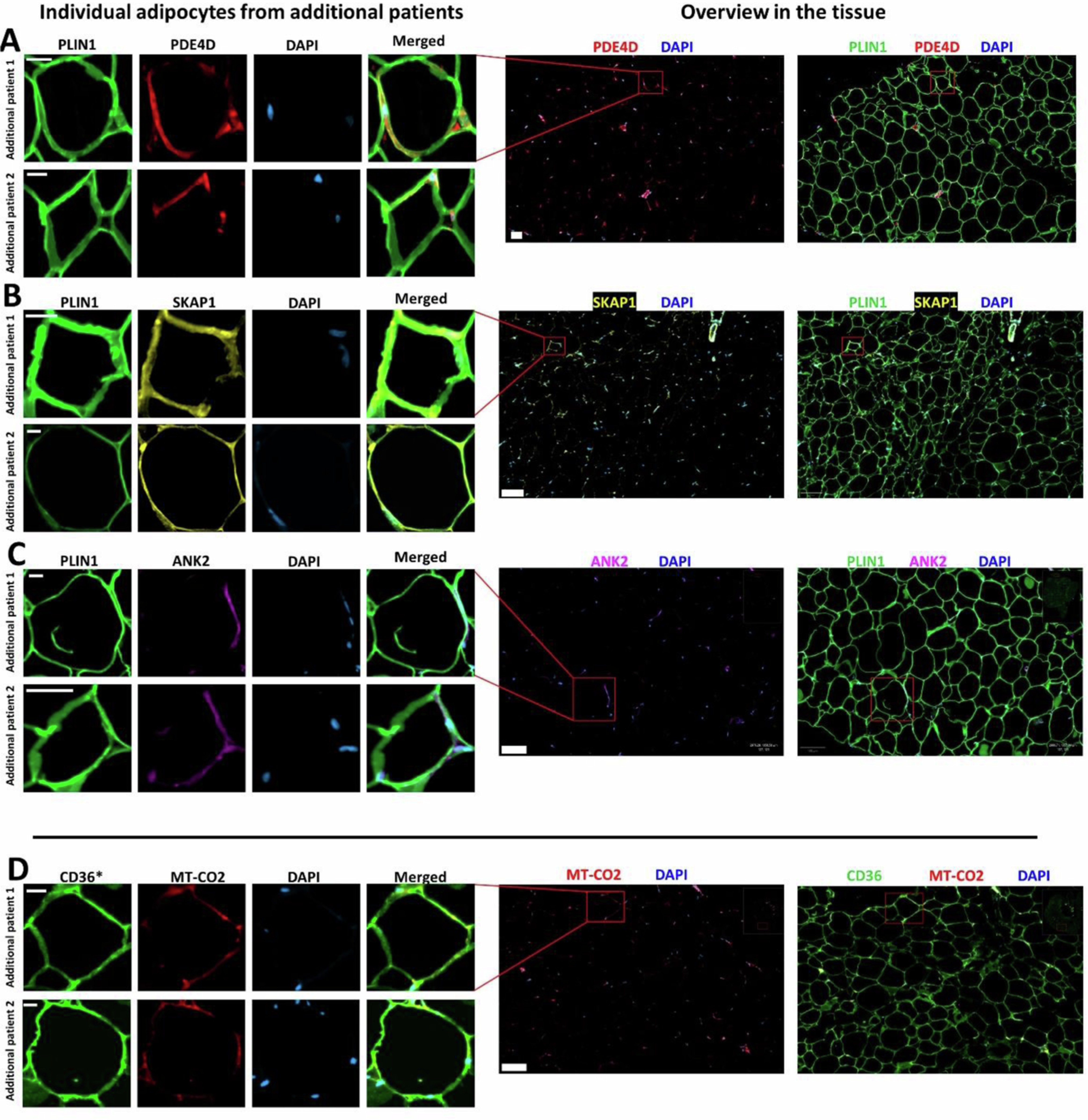 Extended Data Fig. 3