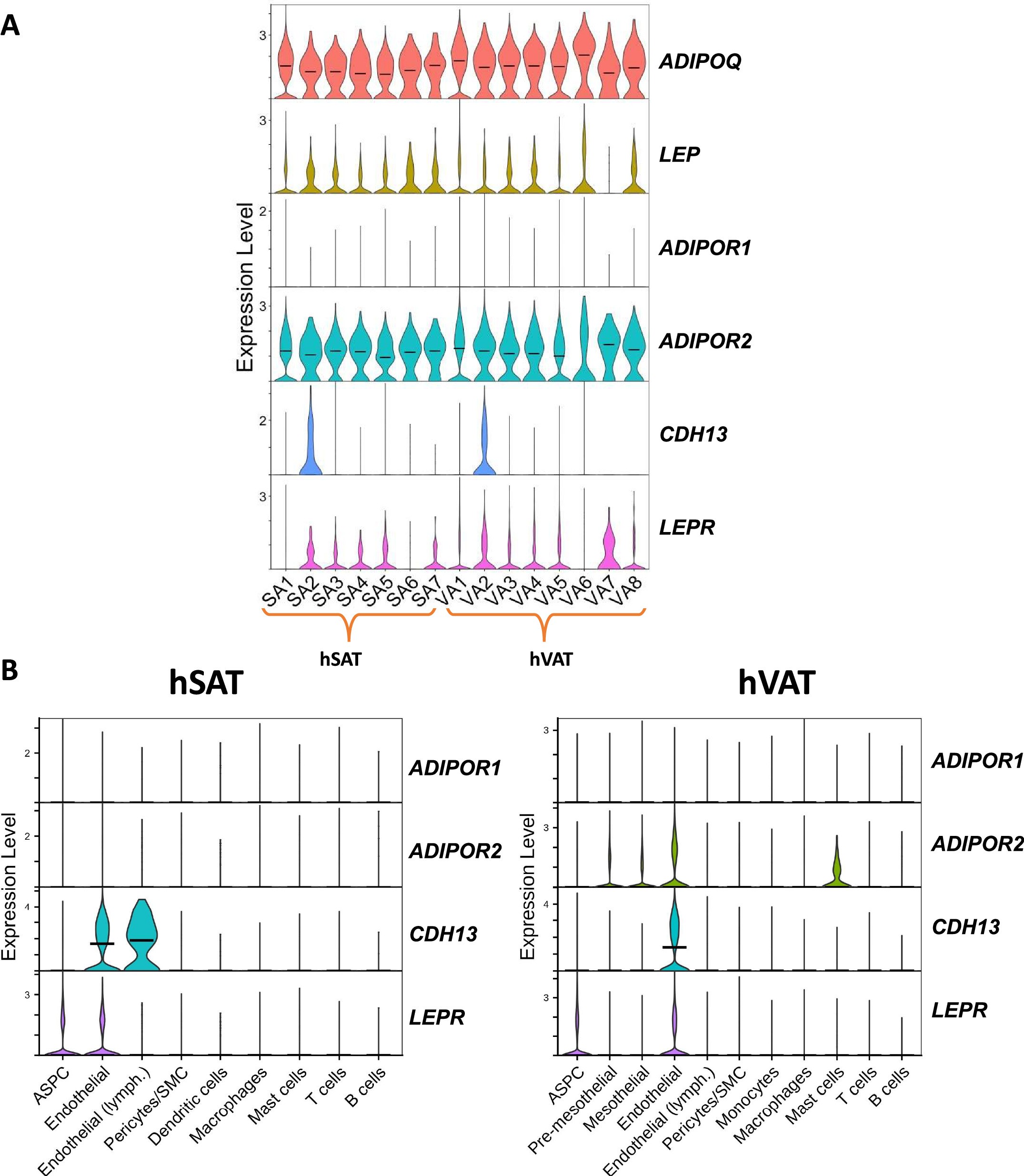 Extended Data Fig. 6