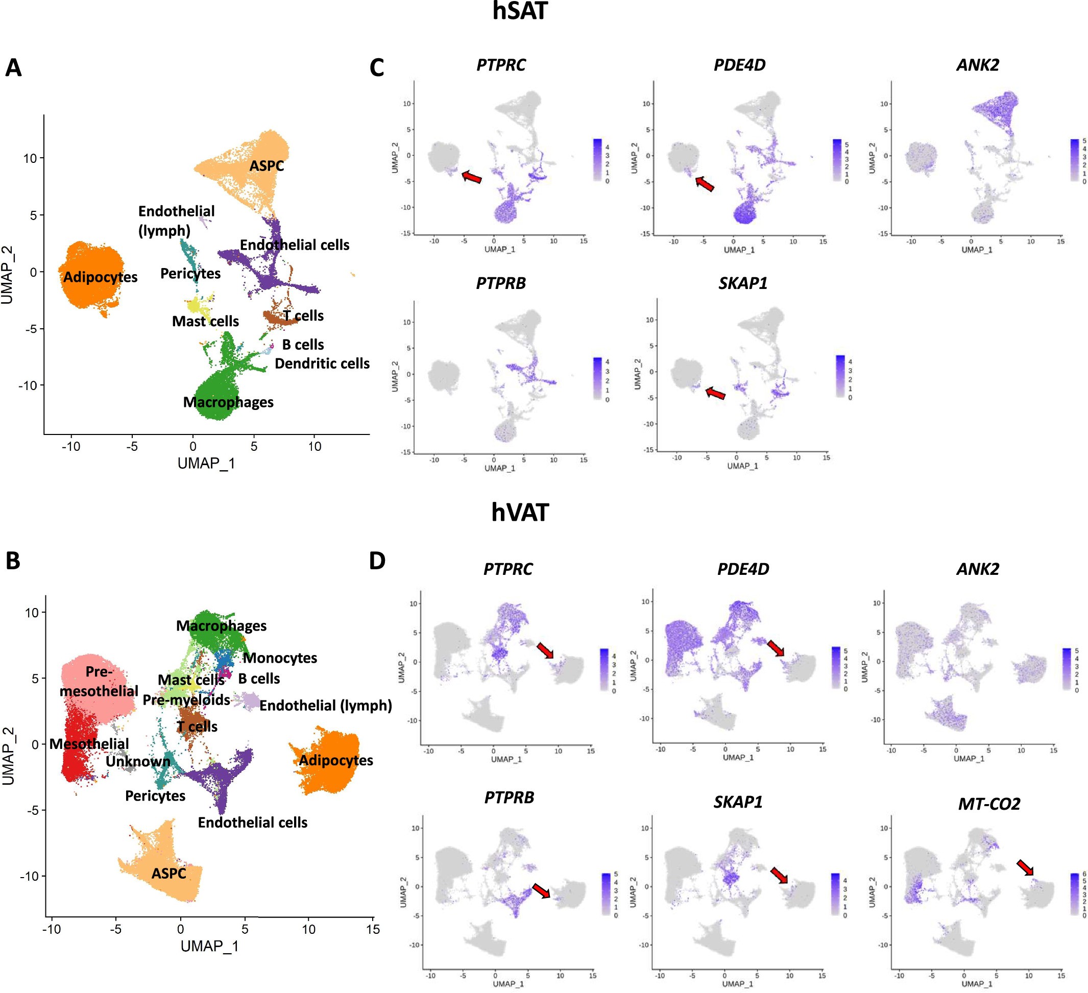 Extended Data Fig. 1