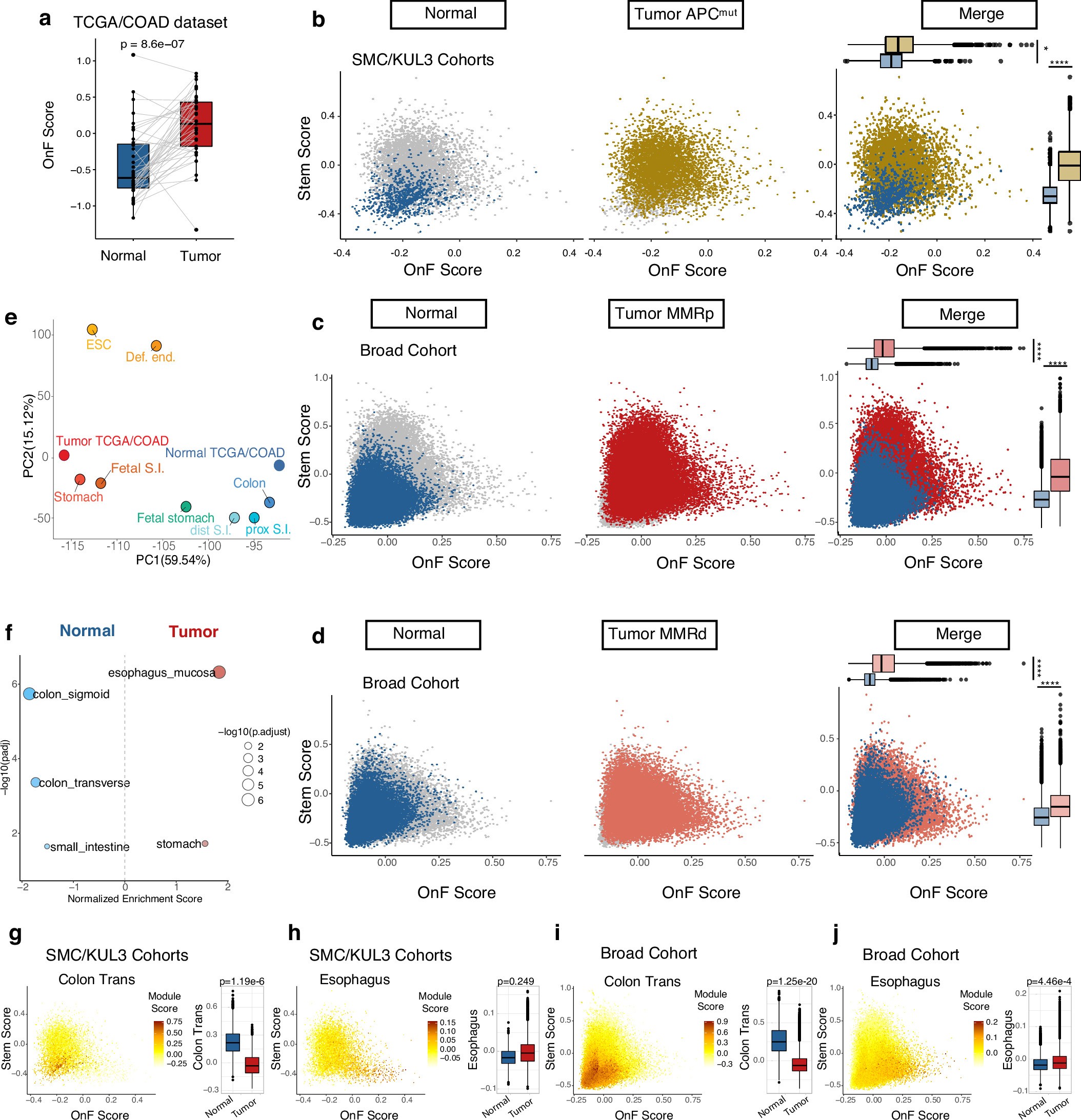 Extended Data Fig. 2: Enhanced oncofetal reprogramming triggers lineage plasticity in advanced human CRC.