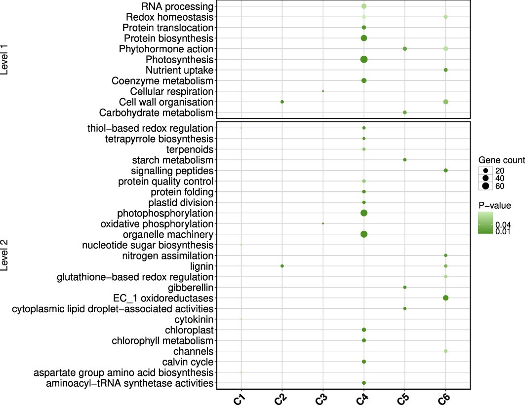 Extended Data Fig. 7: Functional enrichment within one community.