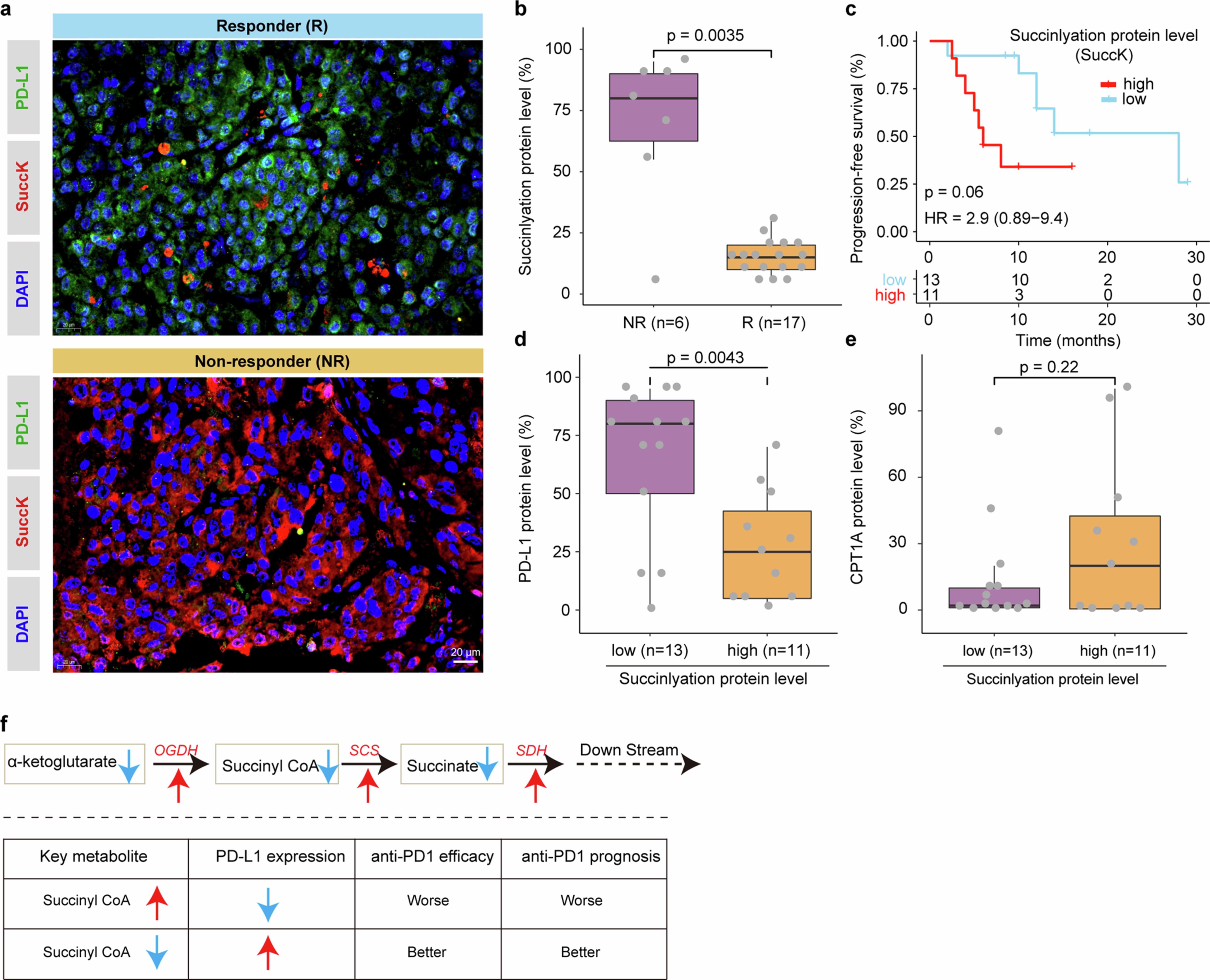 Extended Data Fig. 9