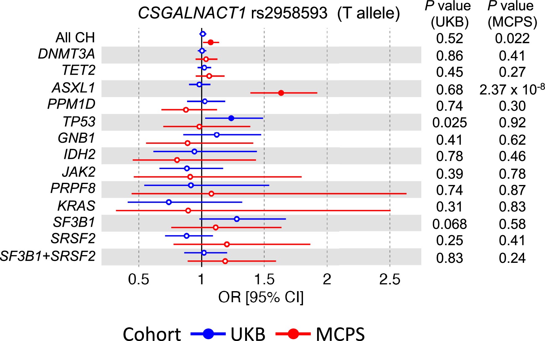Extended Data Fig. 7: Risk estimates of a novel common clonal haematopoiesis (CH) risk variant identified from ASXL1-CH genome-wide association study (GWAS) in Mexico City Prospective Study (MCPS).