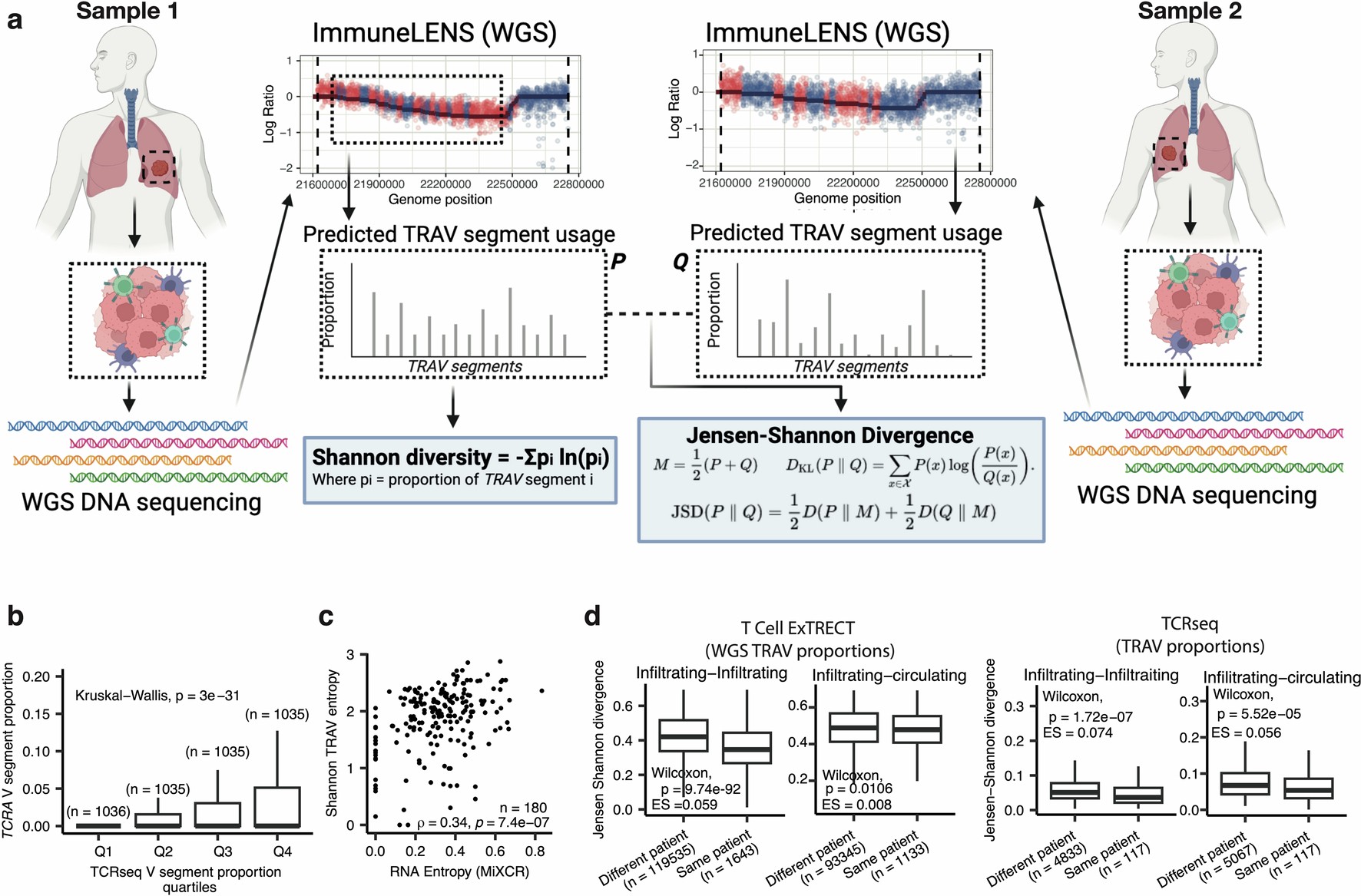 Extended Data Fig. 4: Validation of TCR diversity metrics.