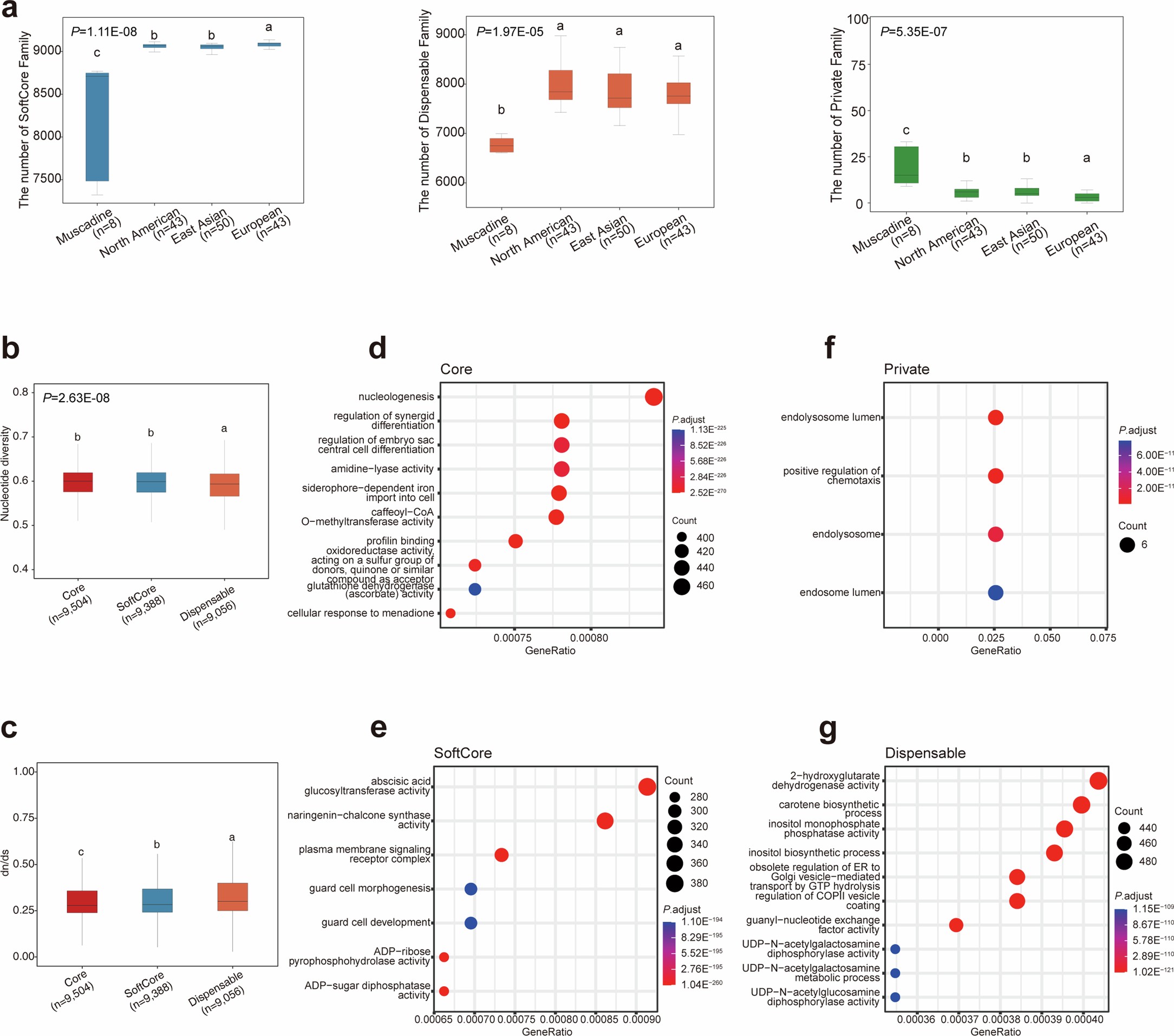 Extended Data Fig. 5: Pangenome analysis and functional enrichment.