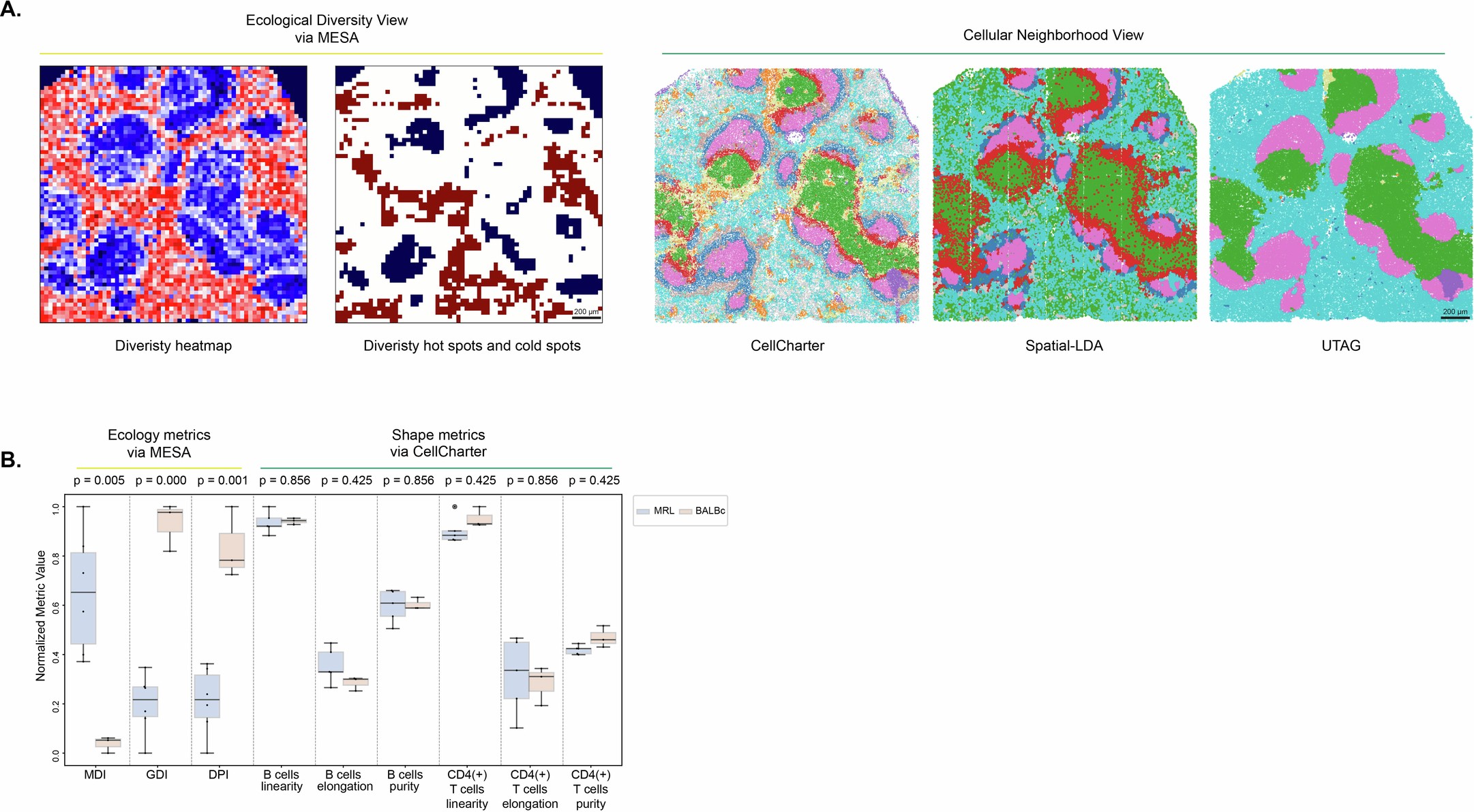 Extended Data Fig. 3: MESA’s ecological framework demonstrates enhanced performance in tissue state characterization compared to existing spatial analysis methods.