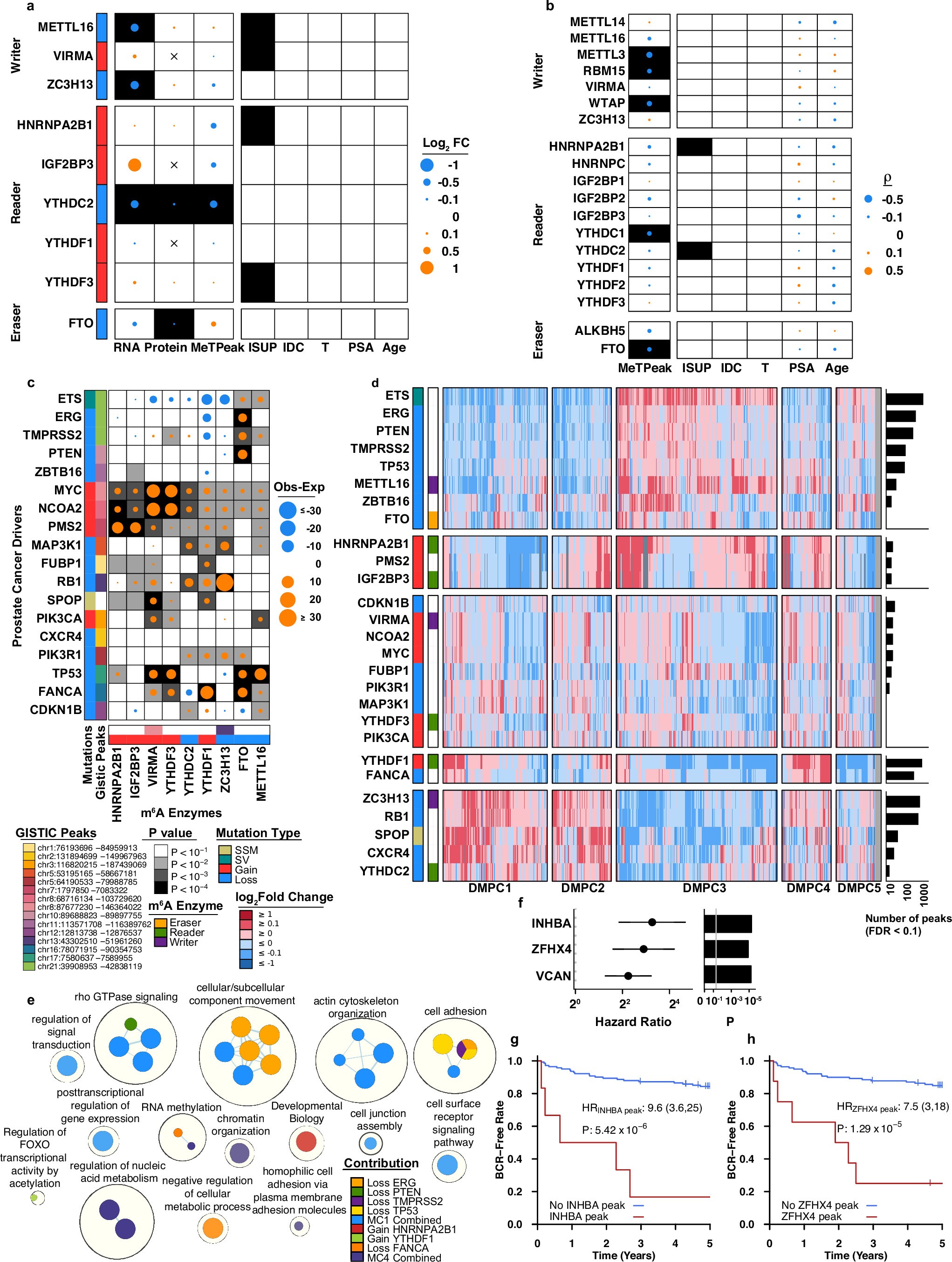 Extended Data Fig. 5