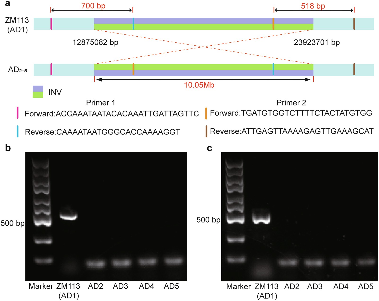 Extended Data Fig. 10