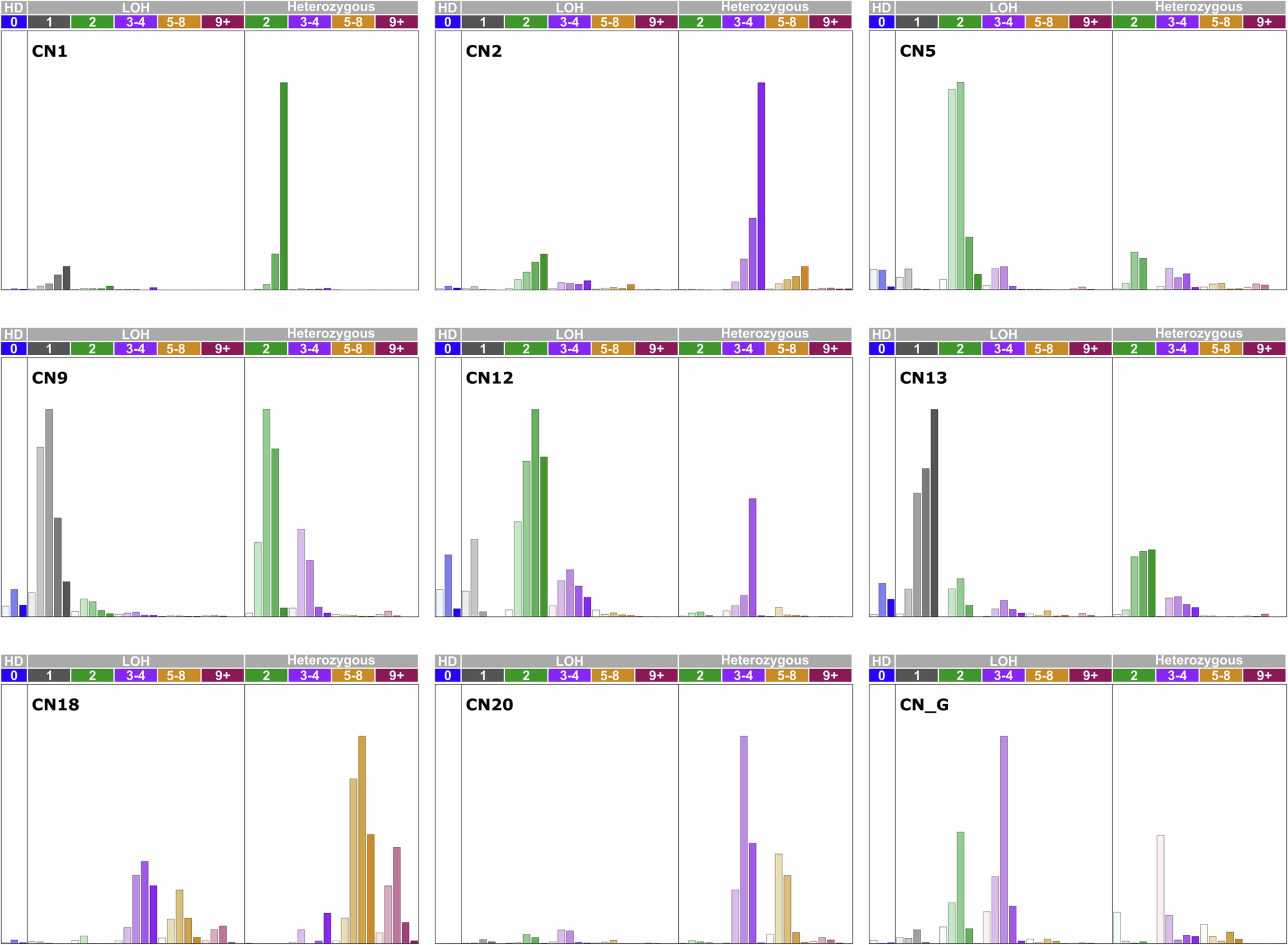 Extended Data Fig. 9: Copy number signature decomposition.