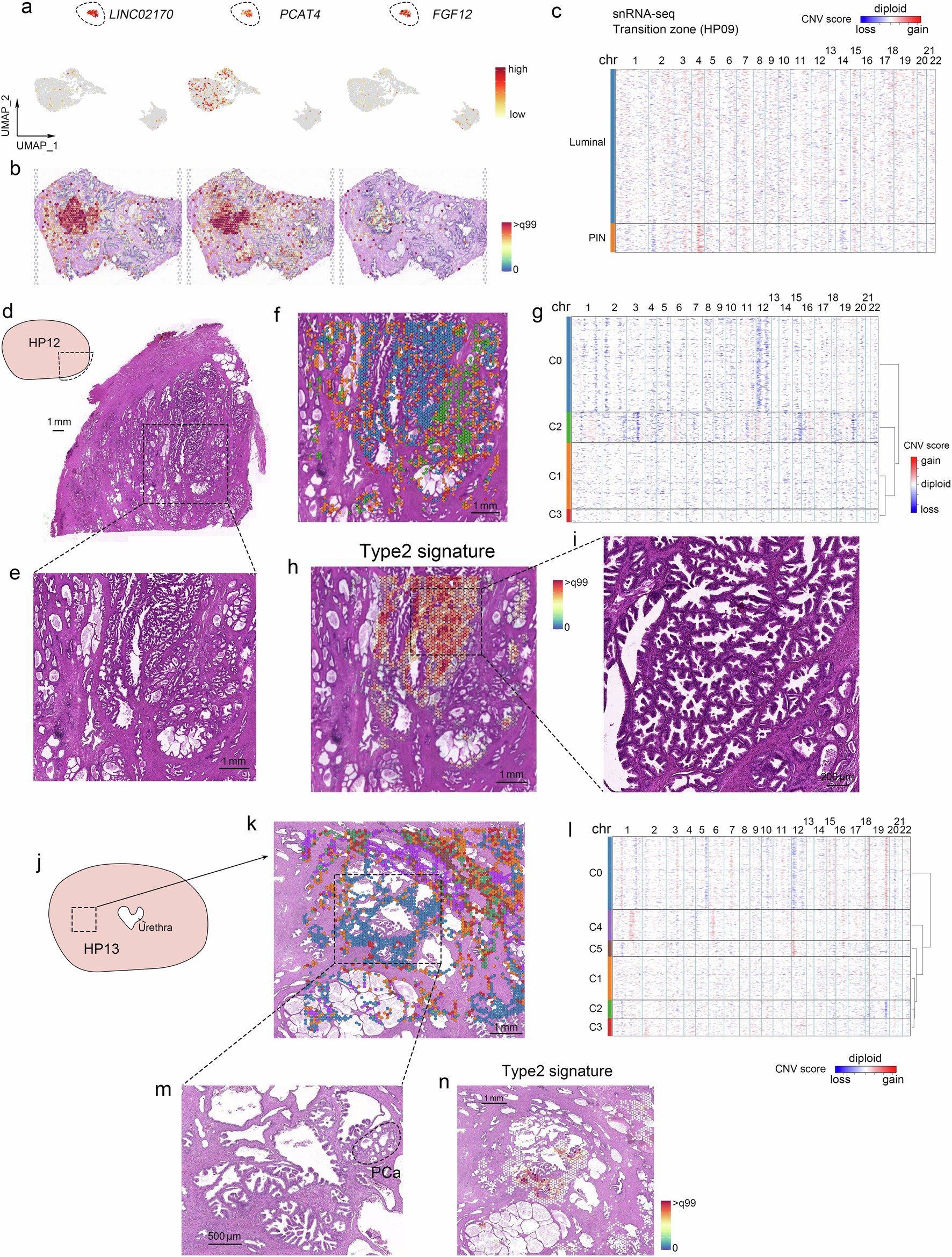 Extended Data Fig. 4