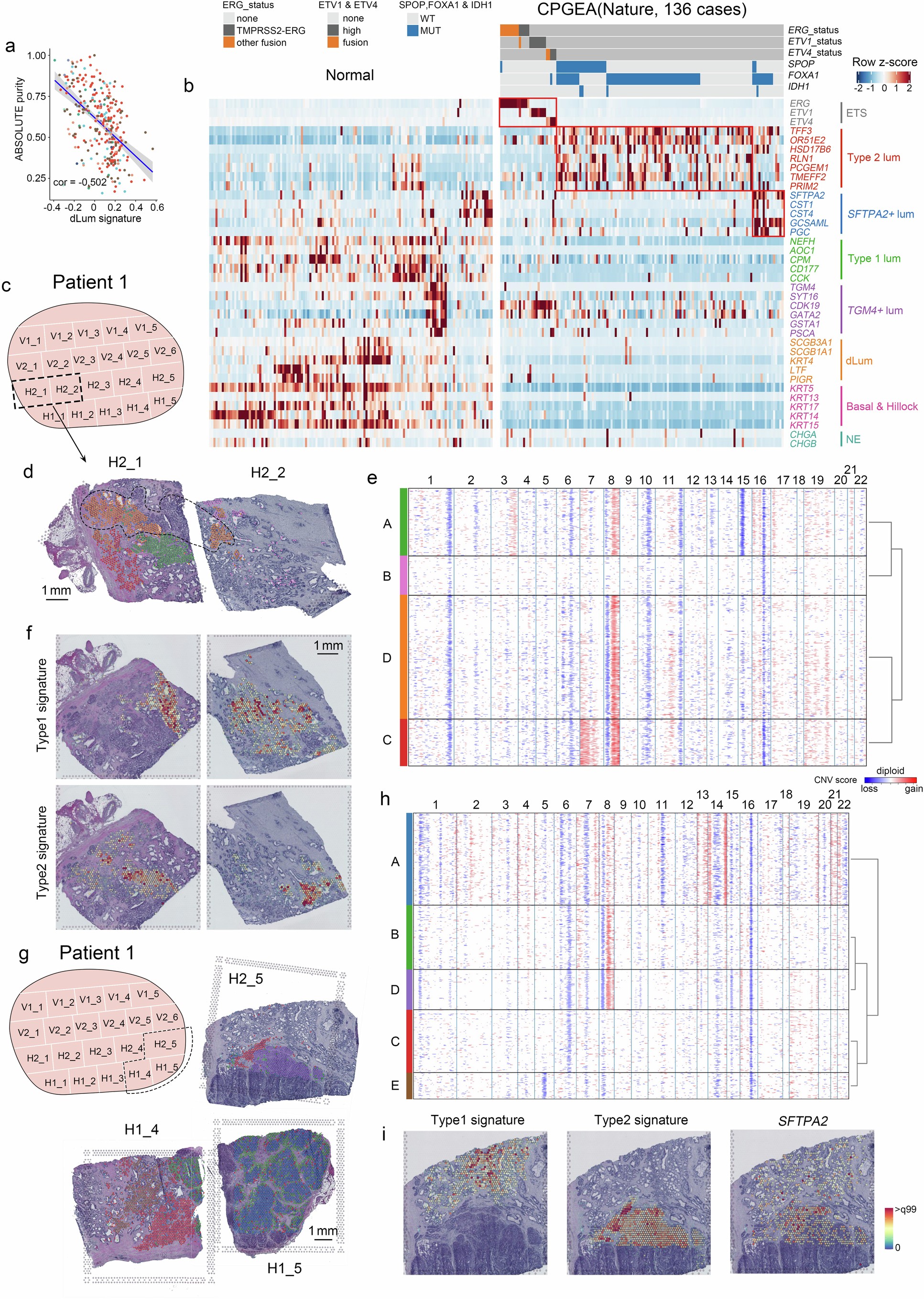 Extended Data Fig. 6