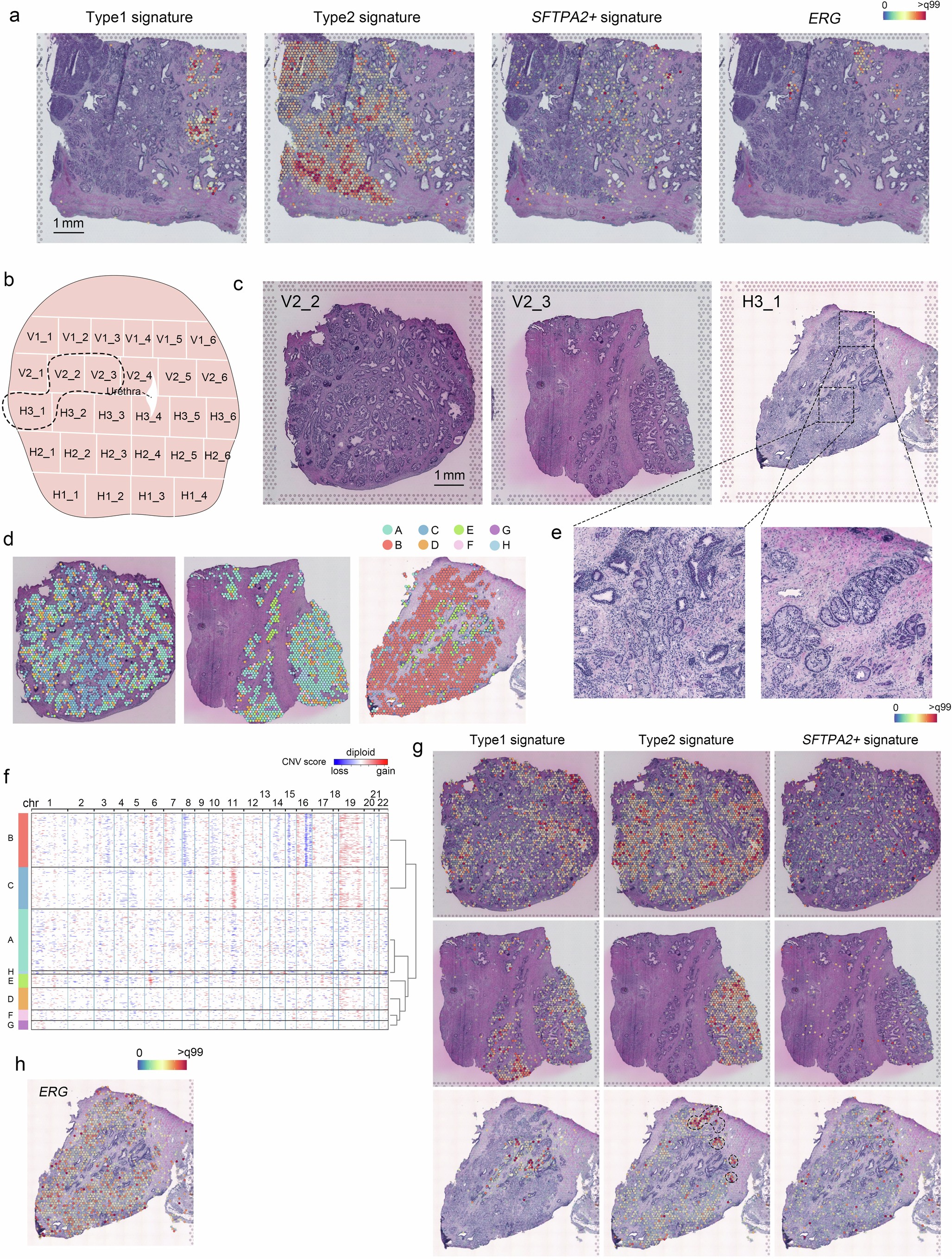 Extended Data Fig. 7