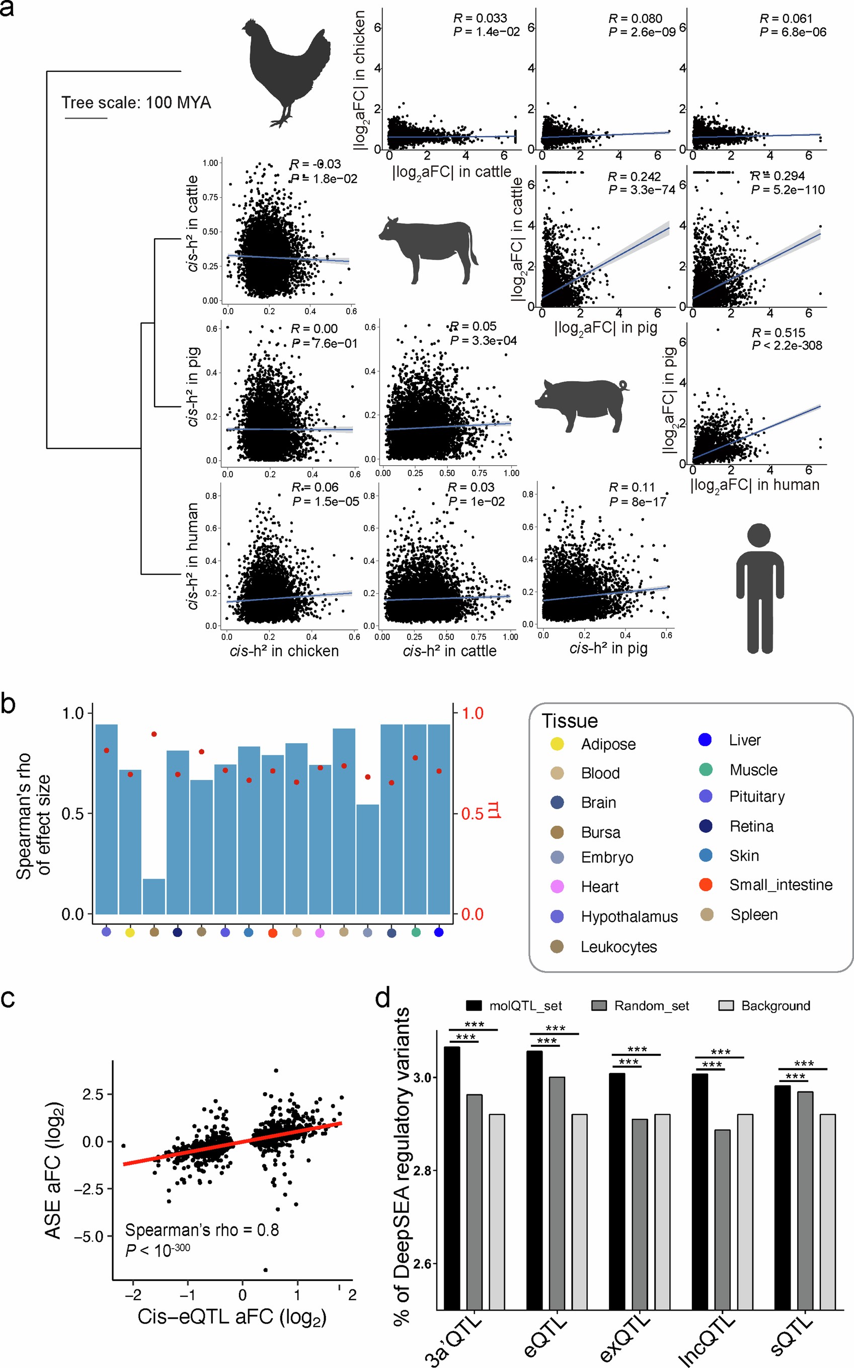 Extended Data Fig. 5: eQTL conservation and validation.