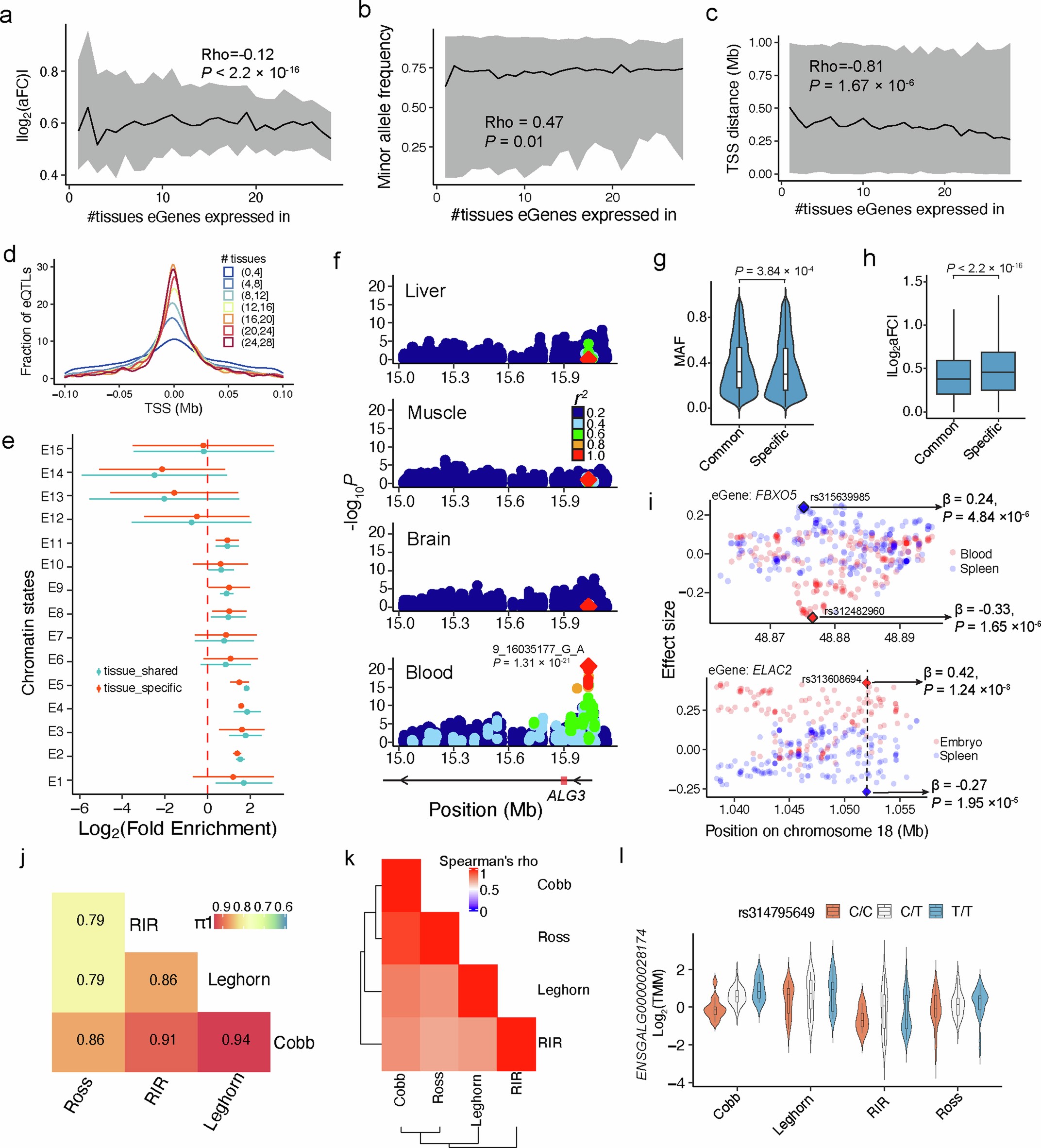 Extended Data Fig. 8: Tissue-sharing properties of eQTL.