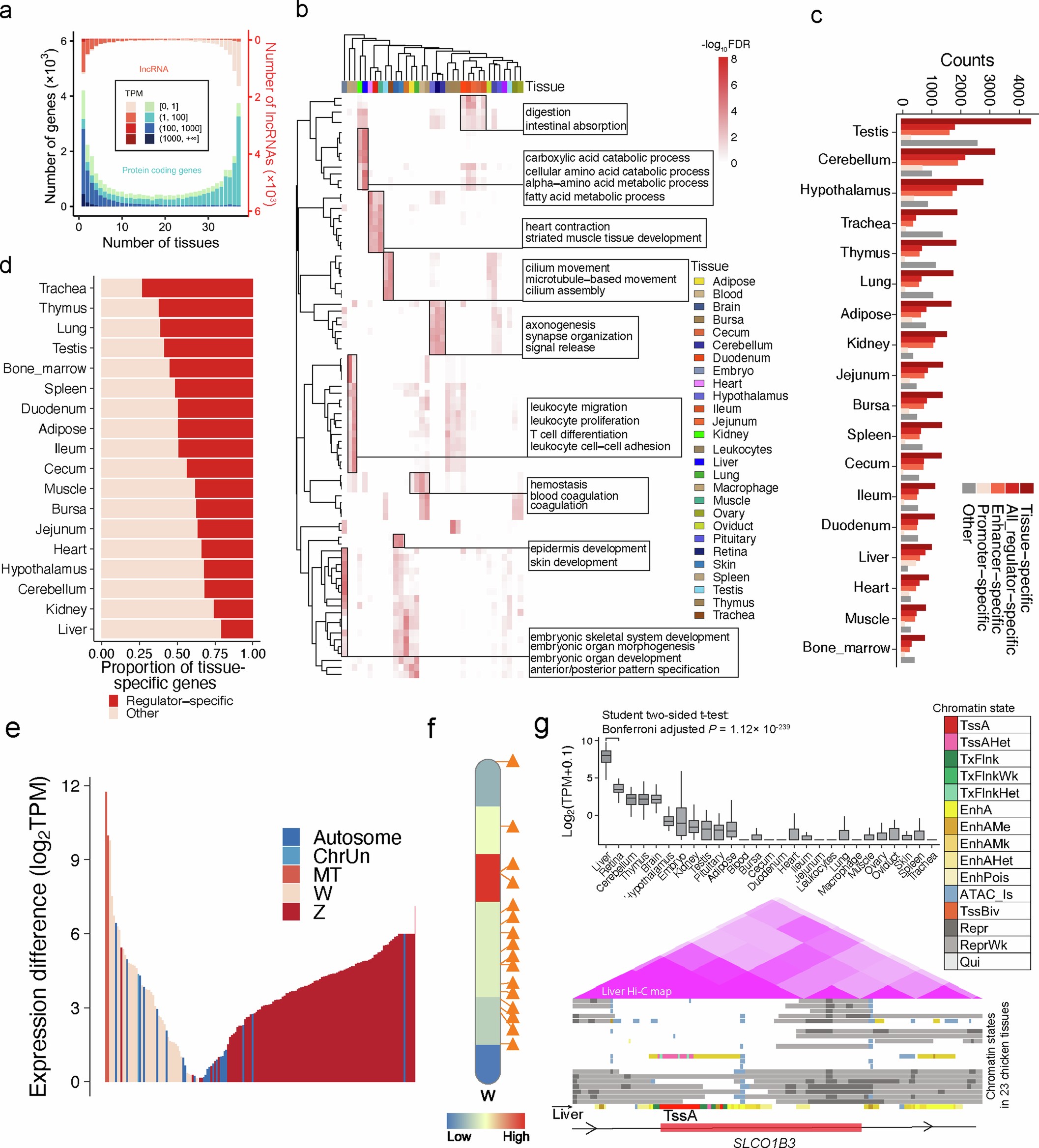Extended Data Fig. 1: Characterization of gene expressions.