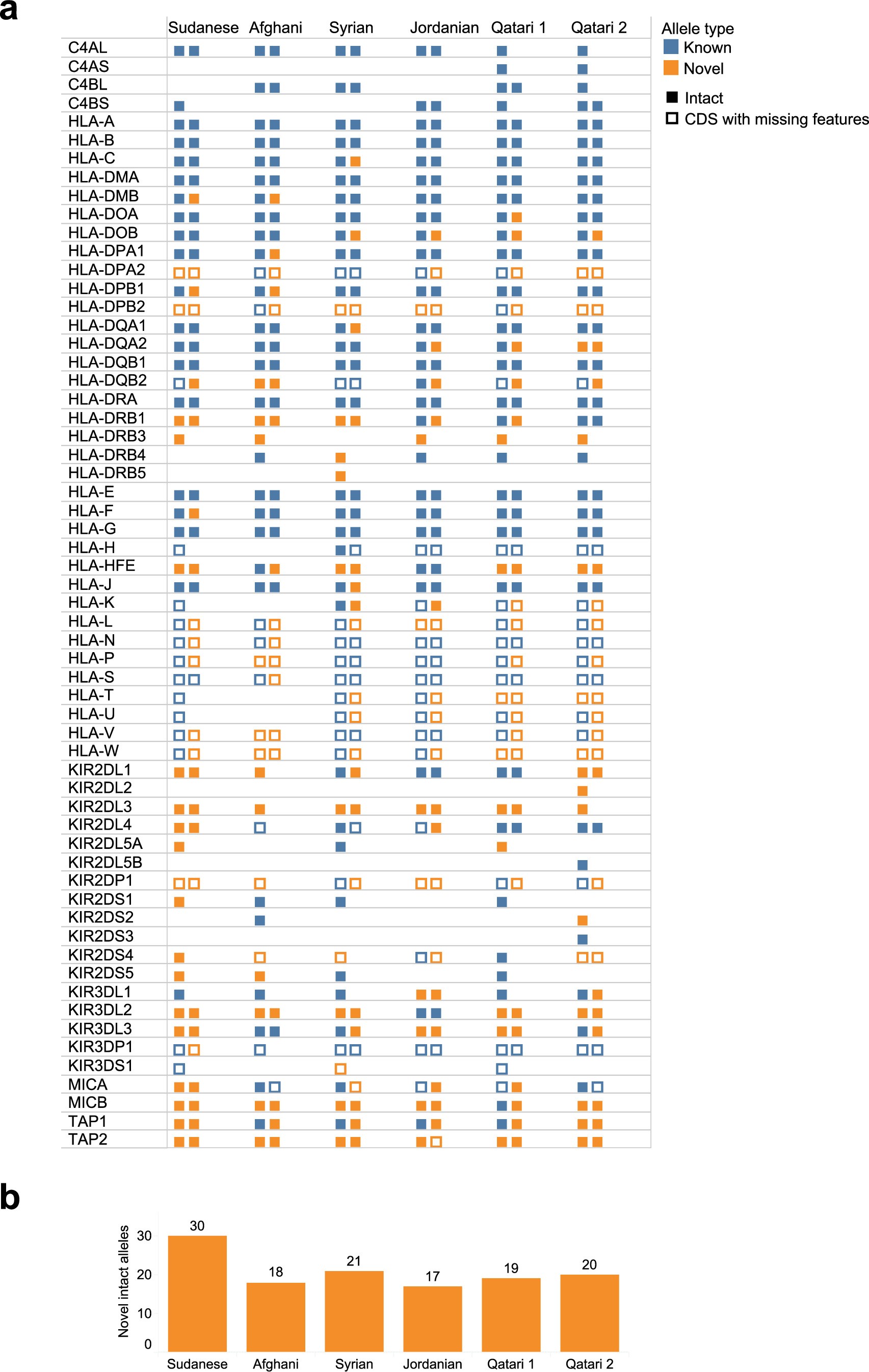 Extended Data Fig. 3: HLA and KIR gene annotations.