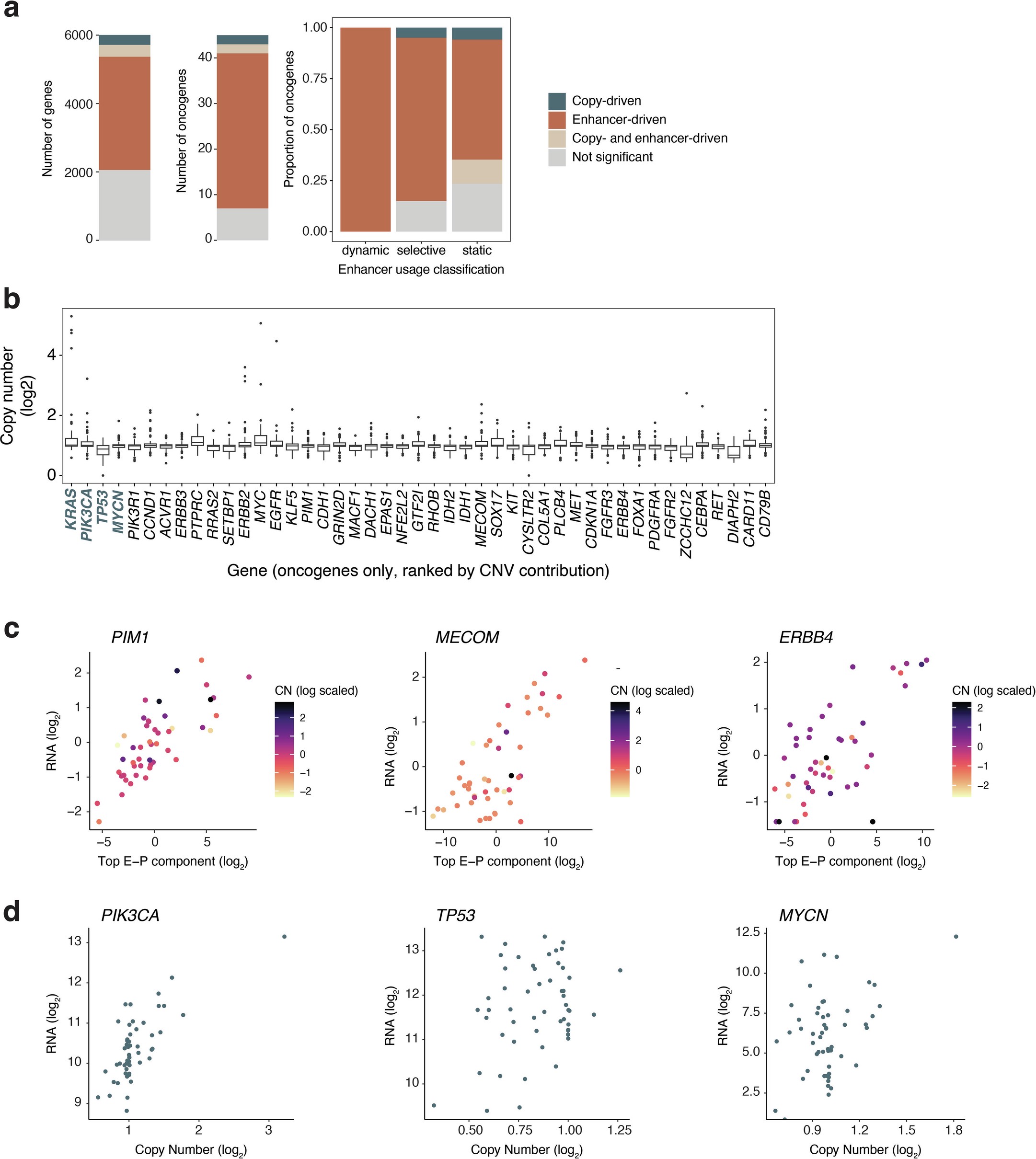 Extended Data Fig. 6: Copy-driven and enhancer-driven gene classification.