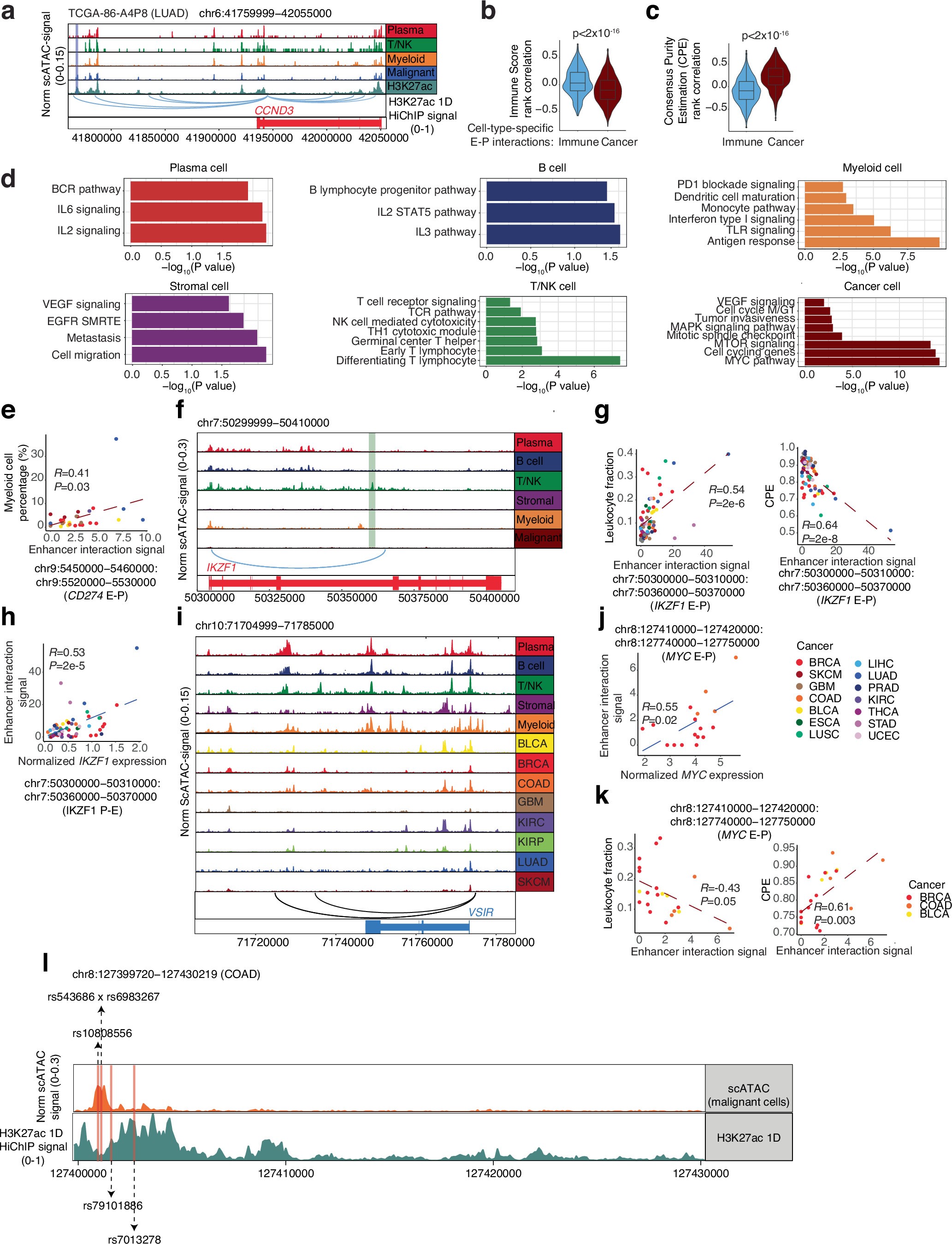 Extended Data Fig. 7: Validation of HiChIP deconvolution framework in tumor microenvironment.