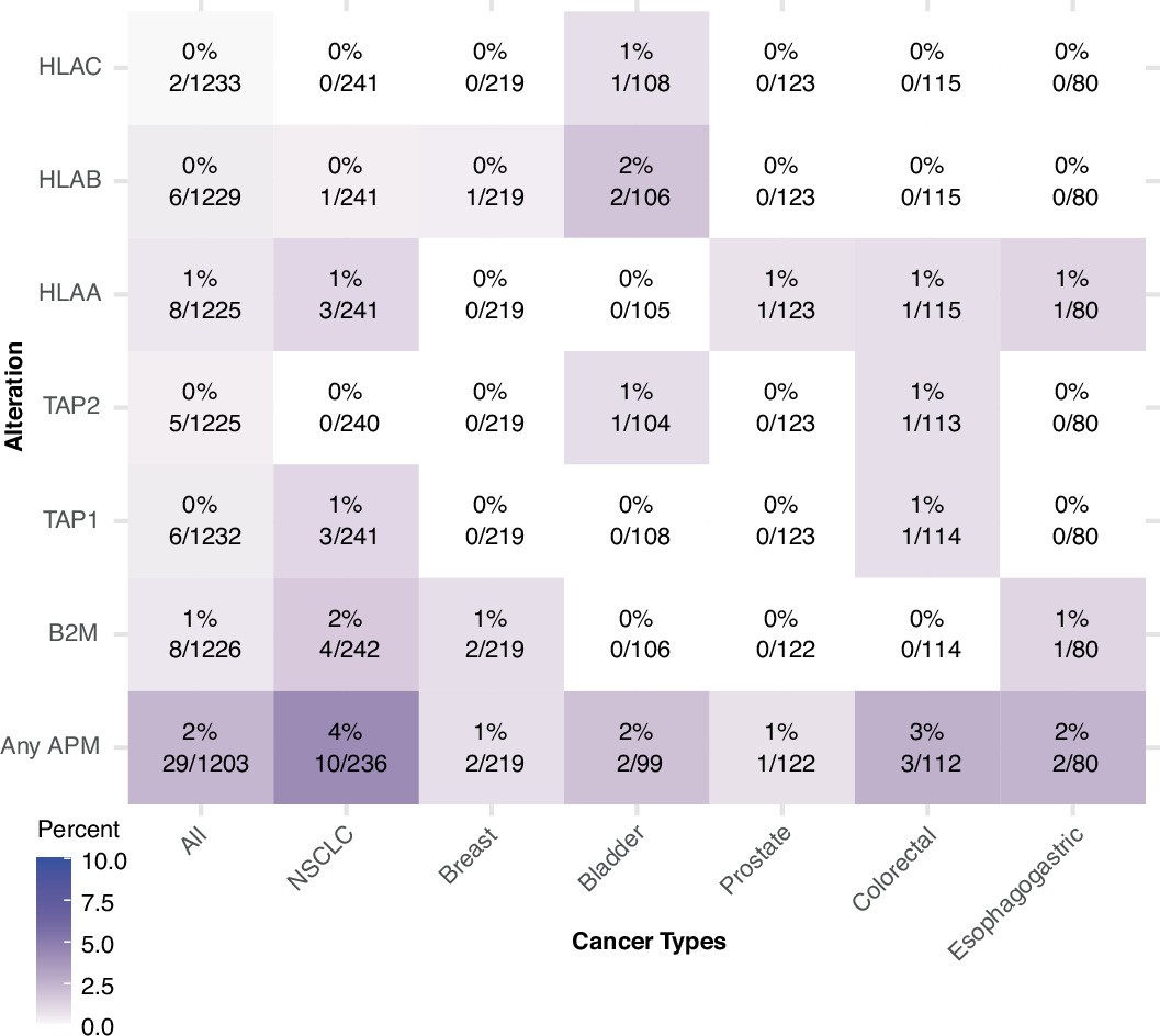Extended Data Fig. 8: De novo development of different genetic alterations between paired primary and metastatic sites by cancer type.