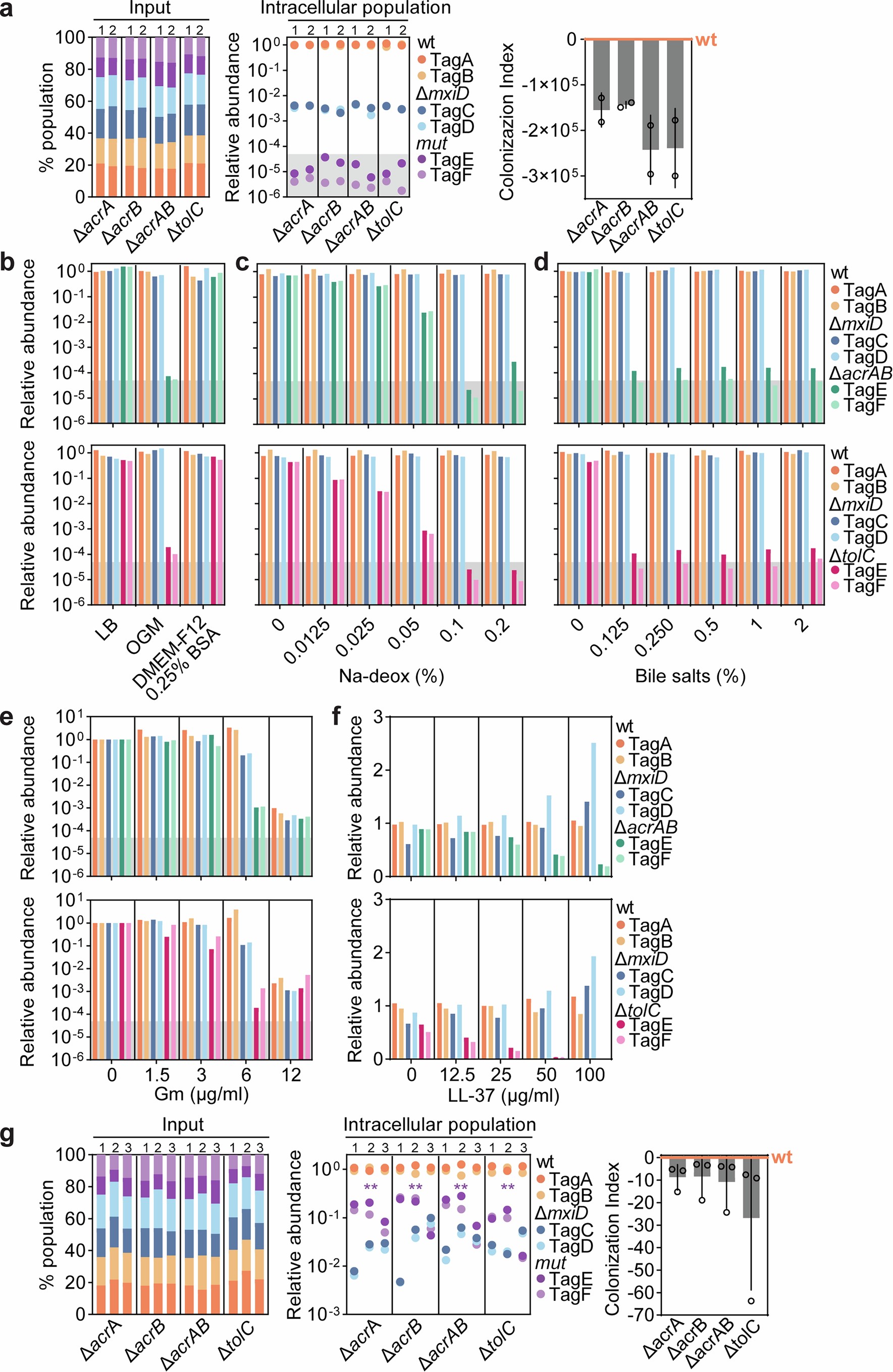 Extended Data Fig. 4: Contribution of the AcrABTolC efflux pump system to Shigella colonization of enteroids, and resilience to environmental conditions relevant to the infection assay.