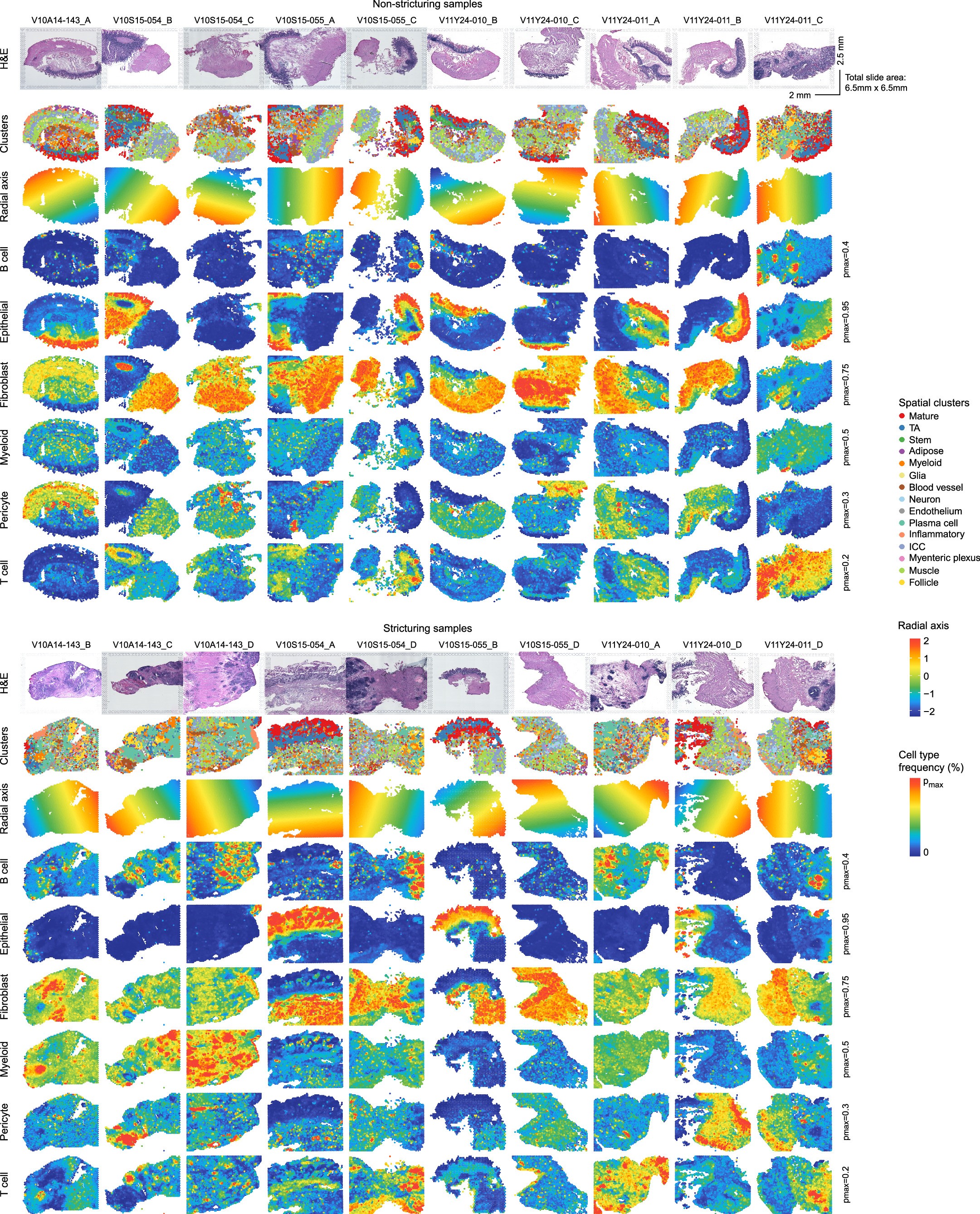 Extended Data Fig. 5: Spatial distribution of cell types across all tissue sections.