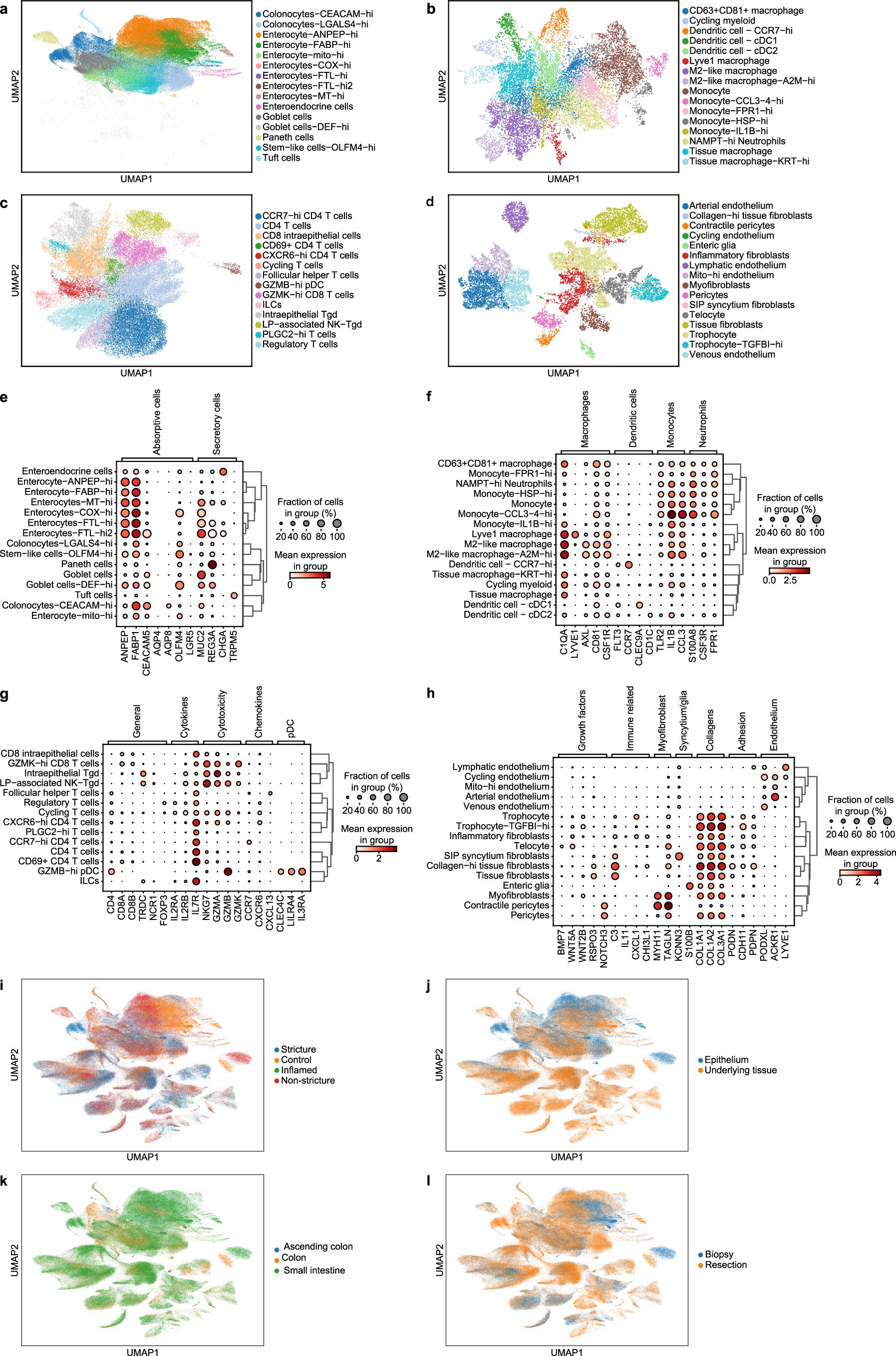 Extended Data Fig. 1: Annotation and subclustering of scRNA-seq data.