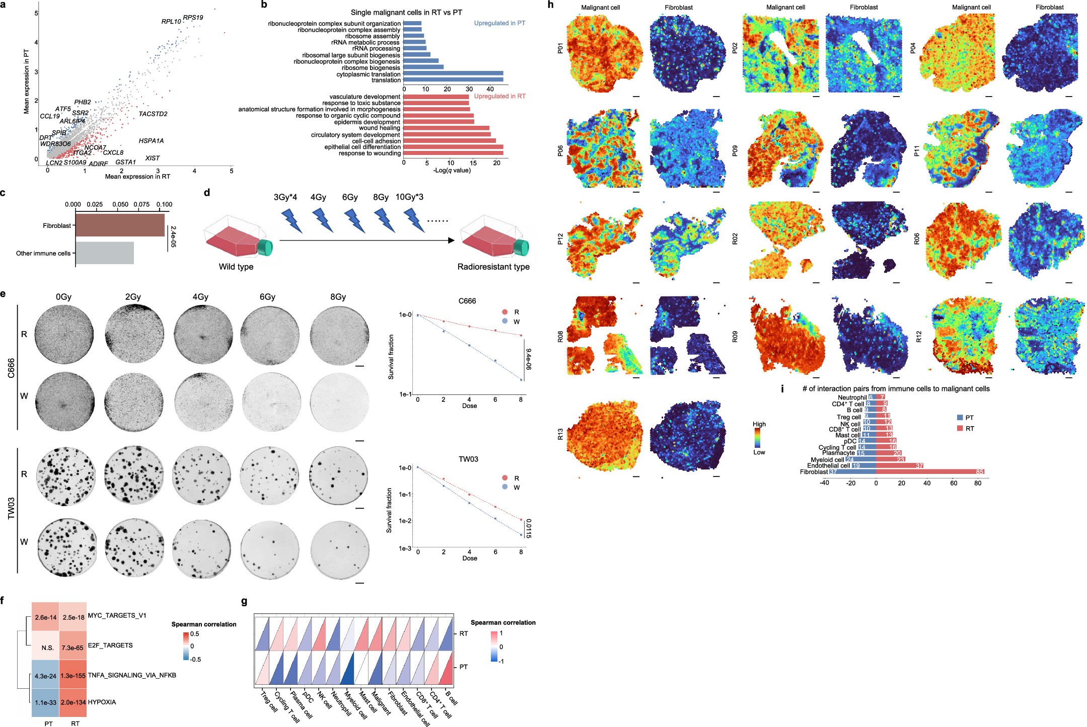 Extended Data Fig. 2: Characteristics of malignant cells in PT and RT samples, related to Fig. 2.