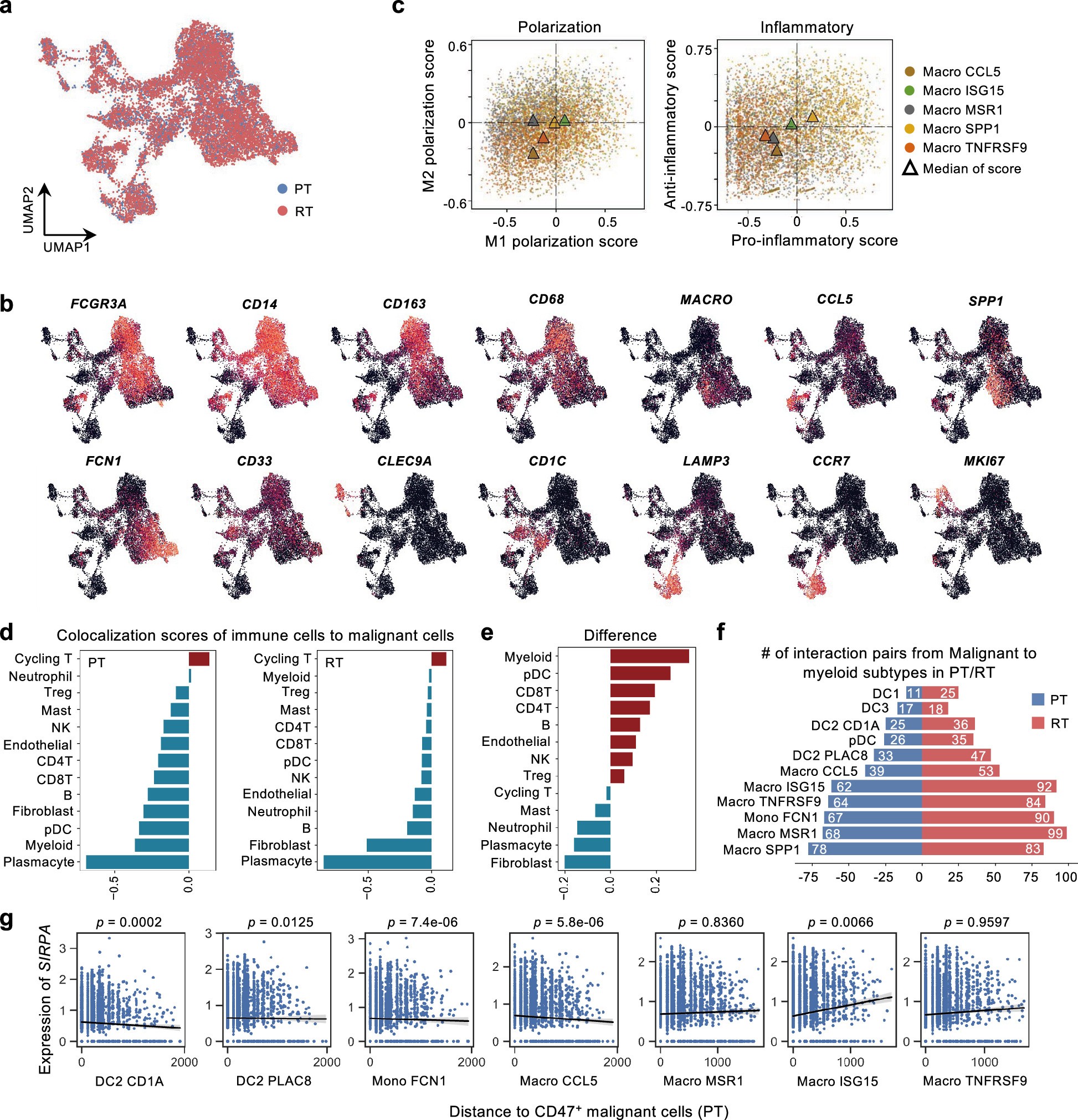 Extended Data Fig. 9: SIRPα+ myeloid cells reside near CD47+ malignant cells to inhibit antigen-presentation in rNPC, related to Fig. 8.