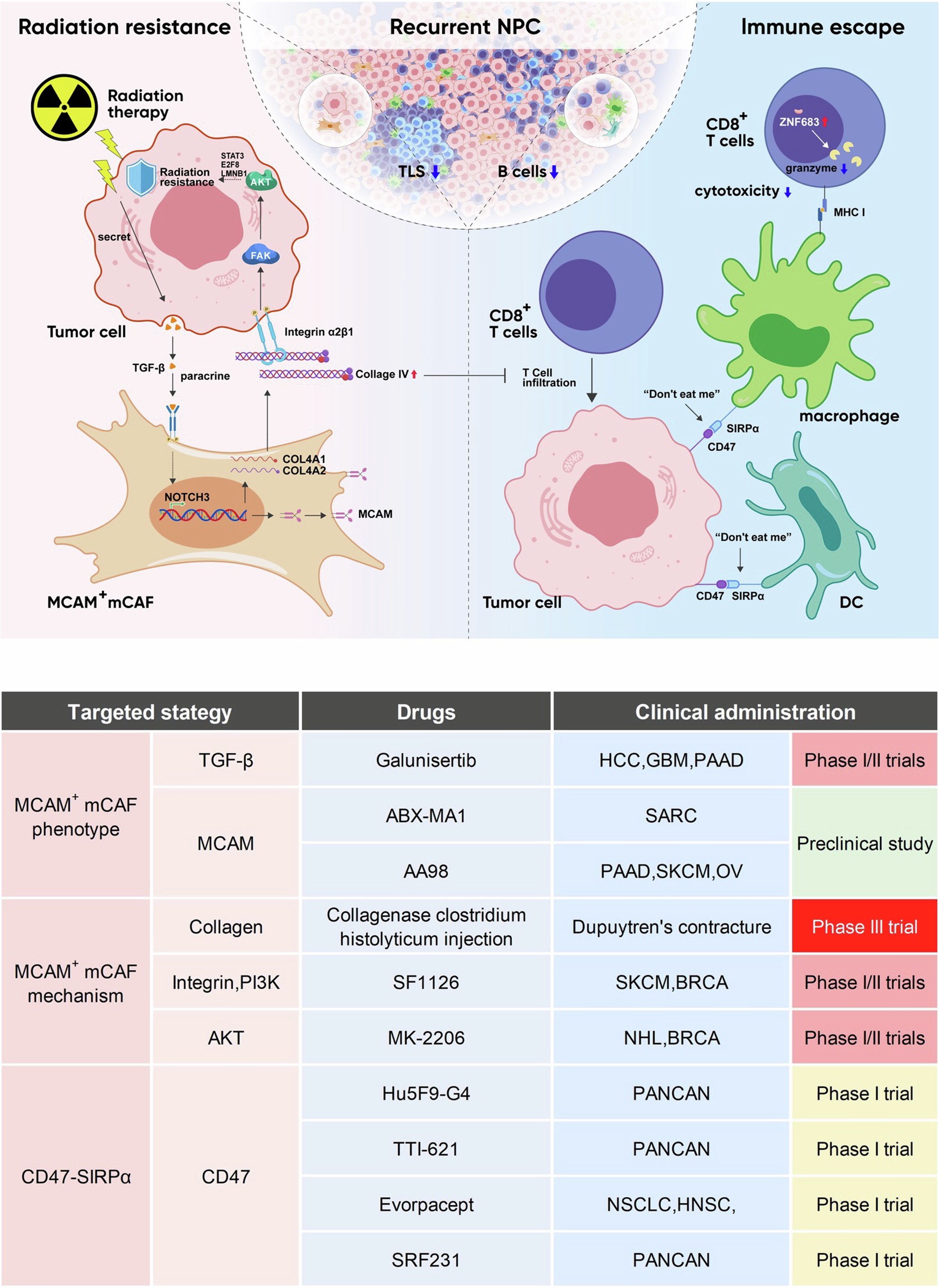 Extended Data Fig. 10