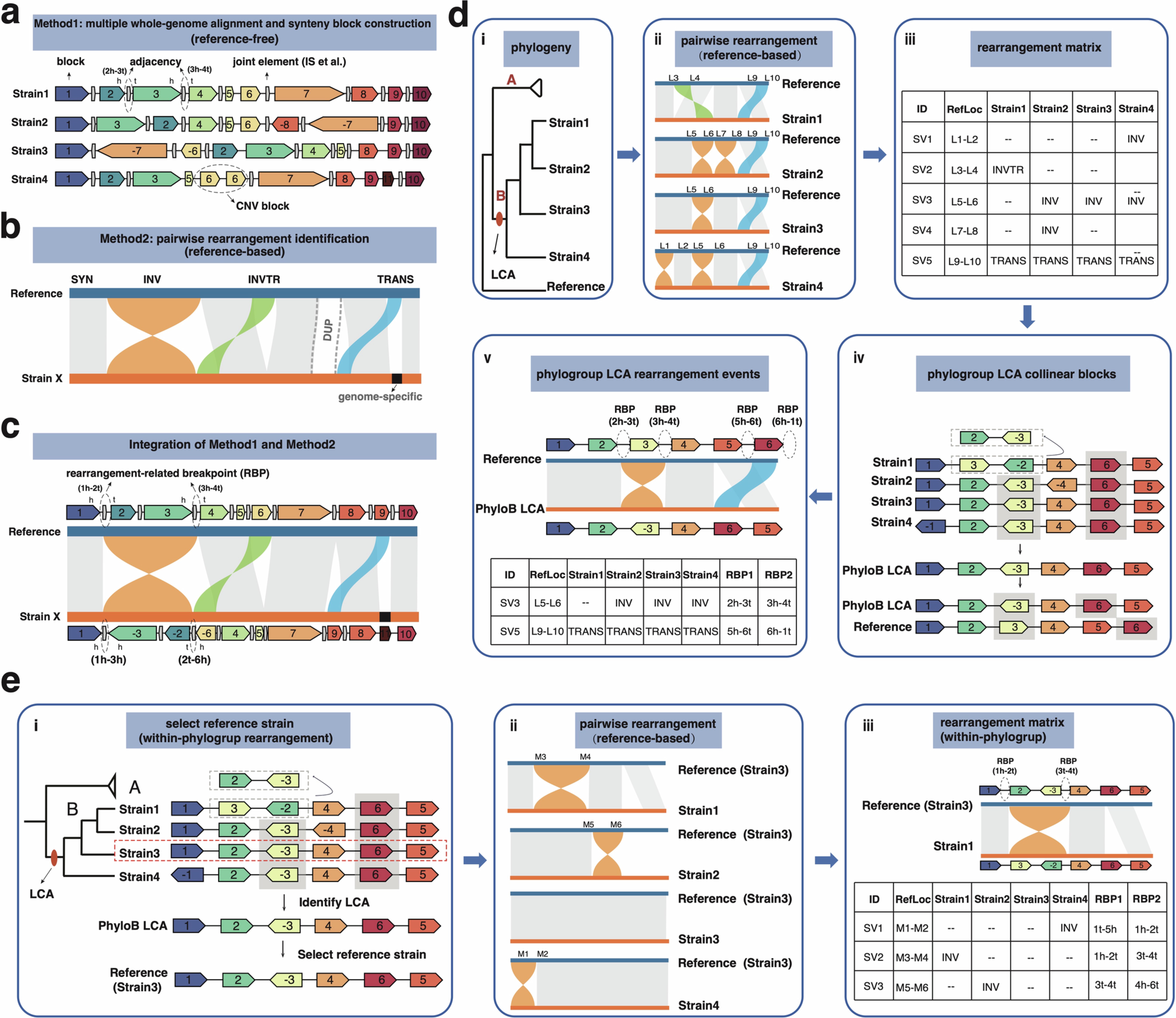 Extended Data Fig. 1: Pipeline for identifying rearrangement events in Y. pestis phylogroups.