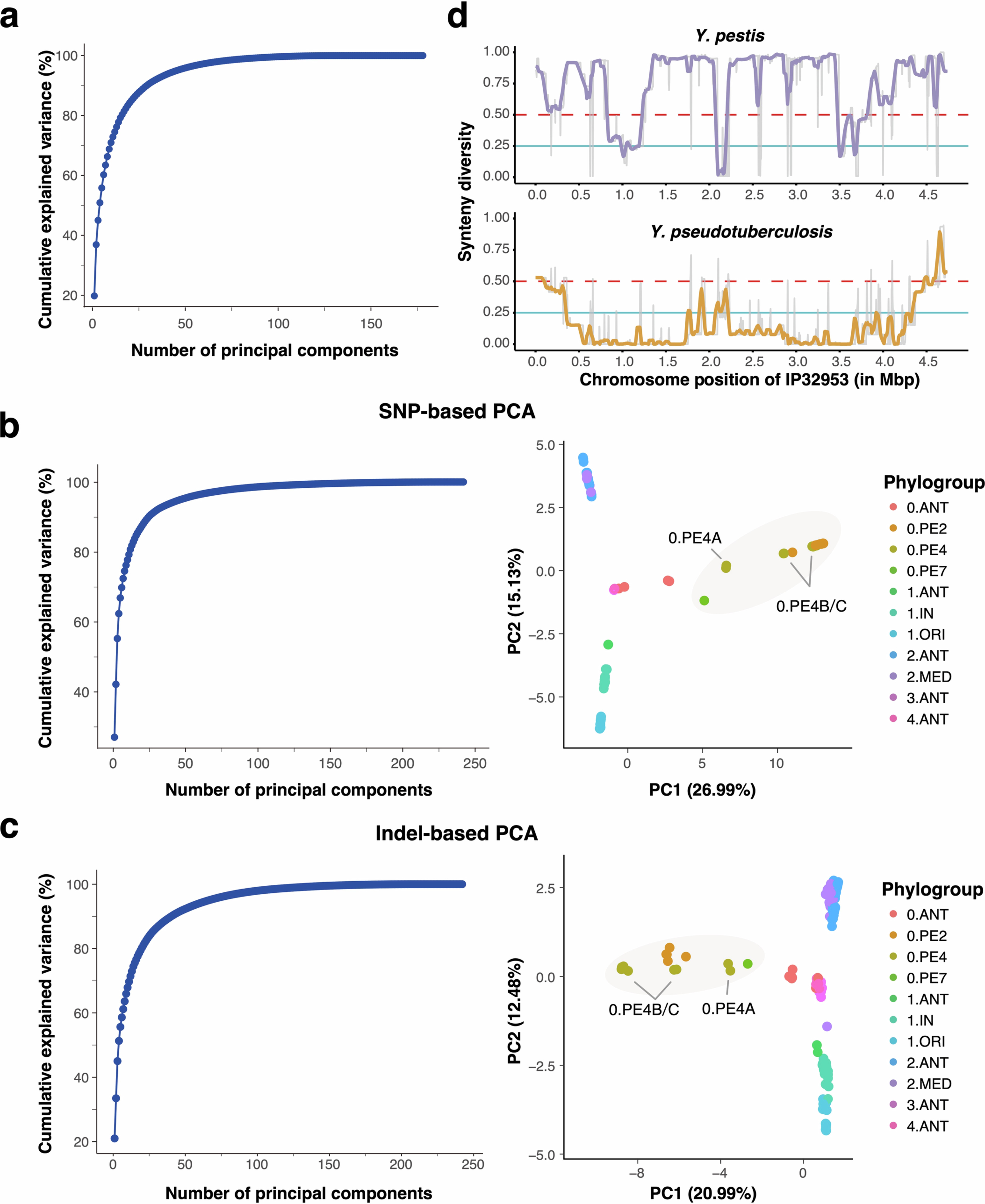 Extended Data Fig. 3: Principal component analysis (PCA) of phylogroup clustering in Y. pestis and comparison of synteny diversity with Y. pseudotuberculosis.