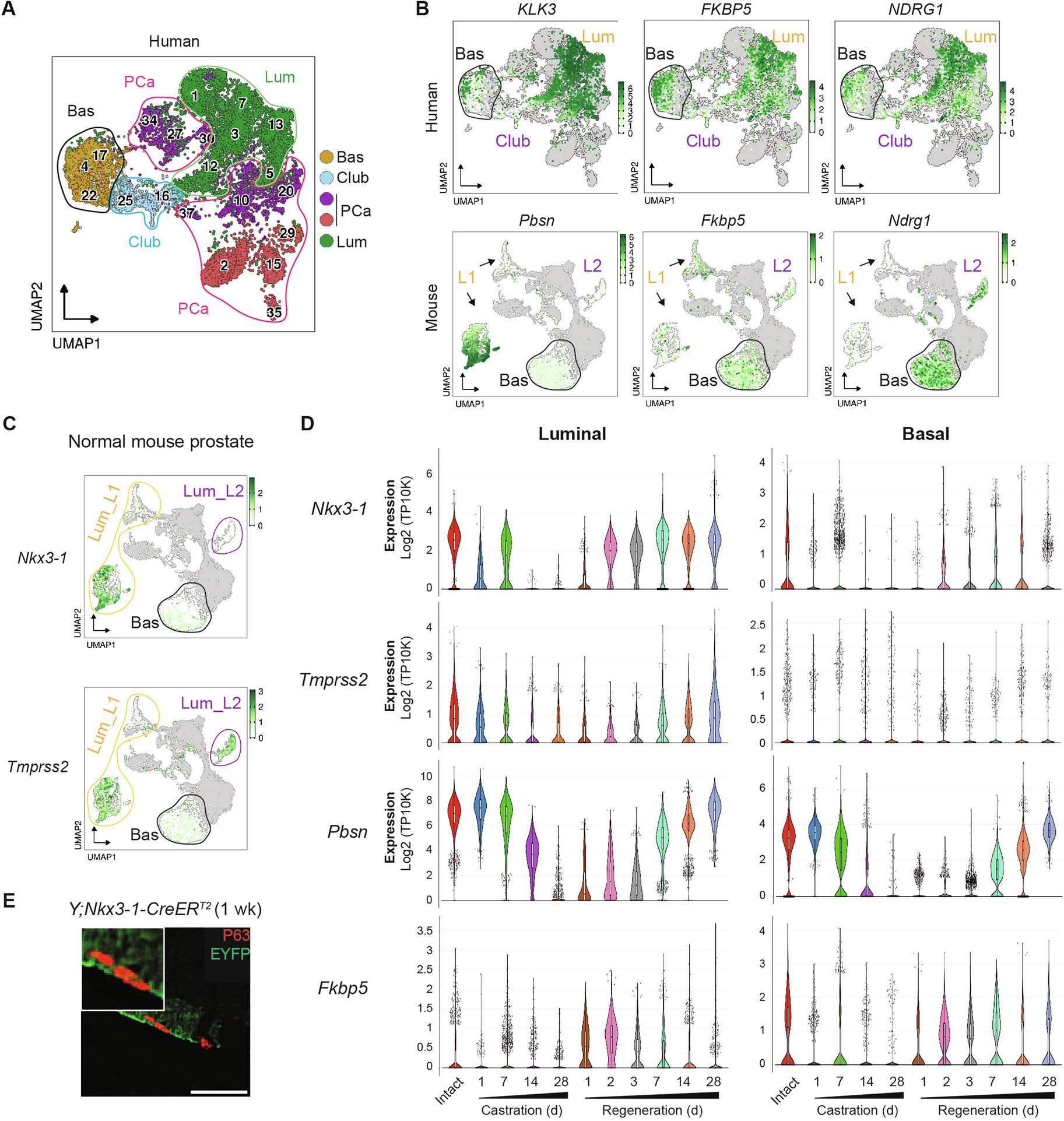 Extended Data Fig. 2