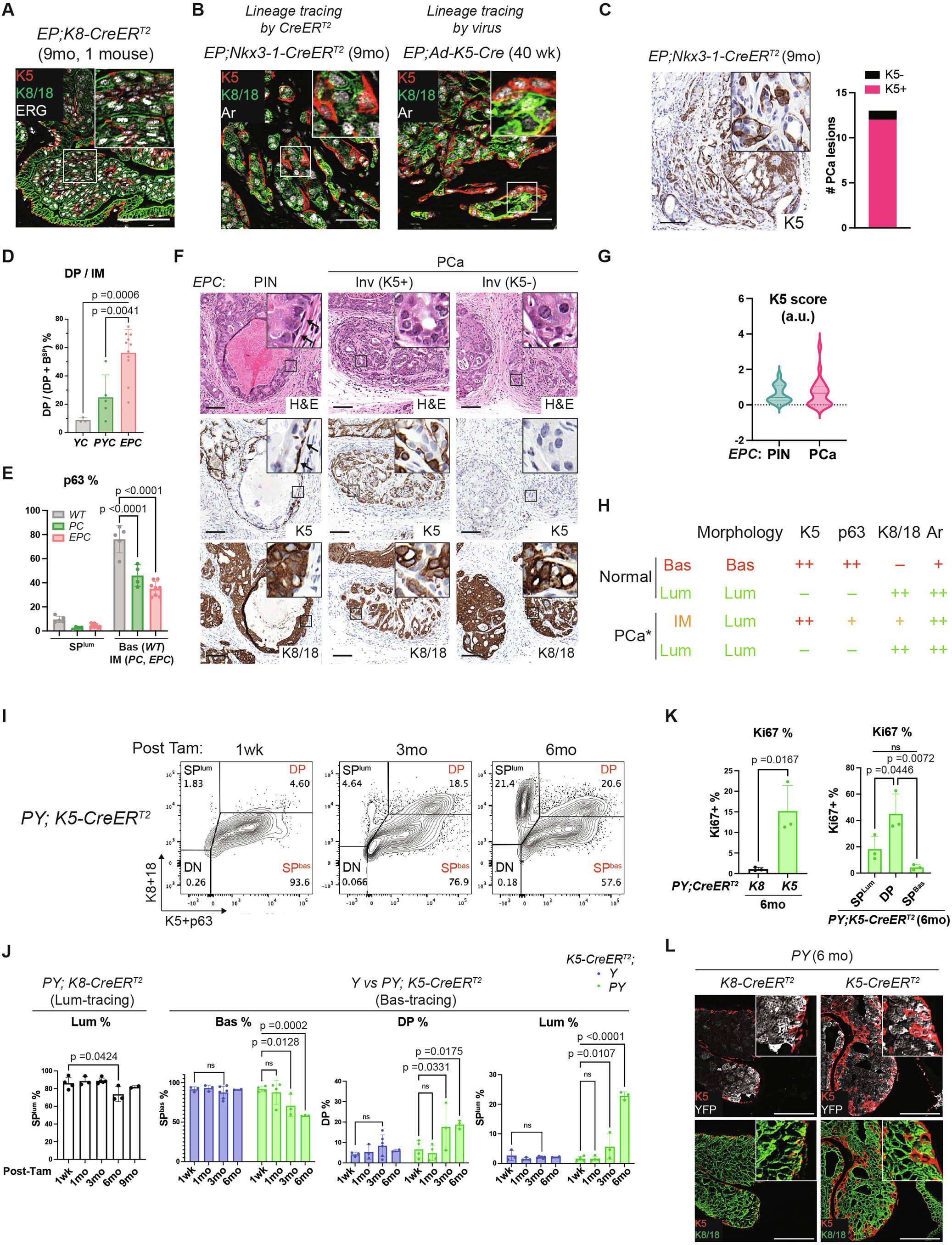 Extended Data Fig. 5